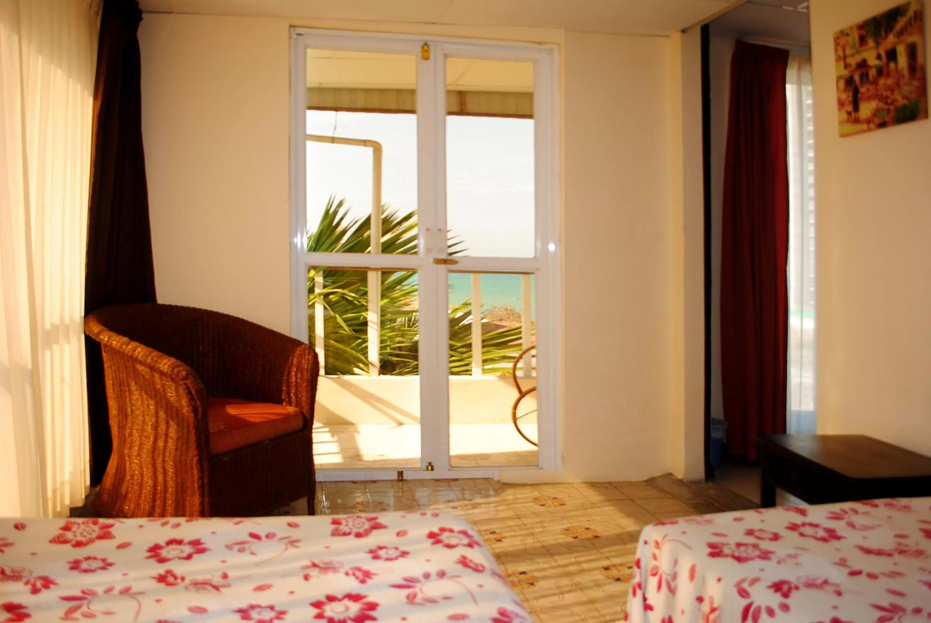 Photo of the whole room in Hostal Antares