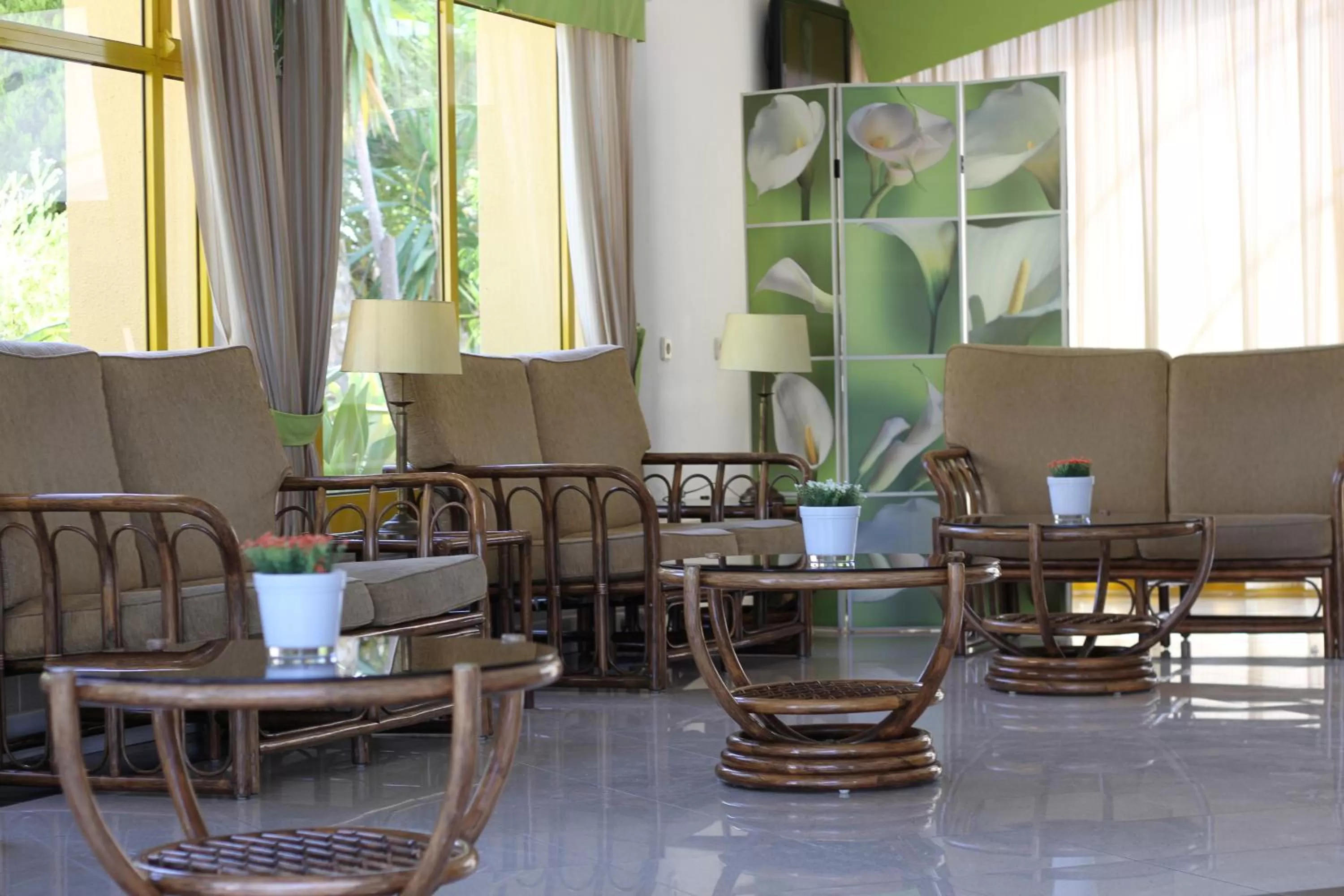 Area and facilities in Hotel Pinhal do Sol