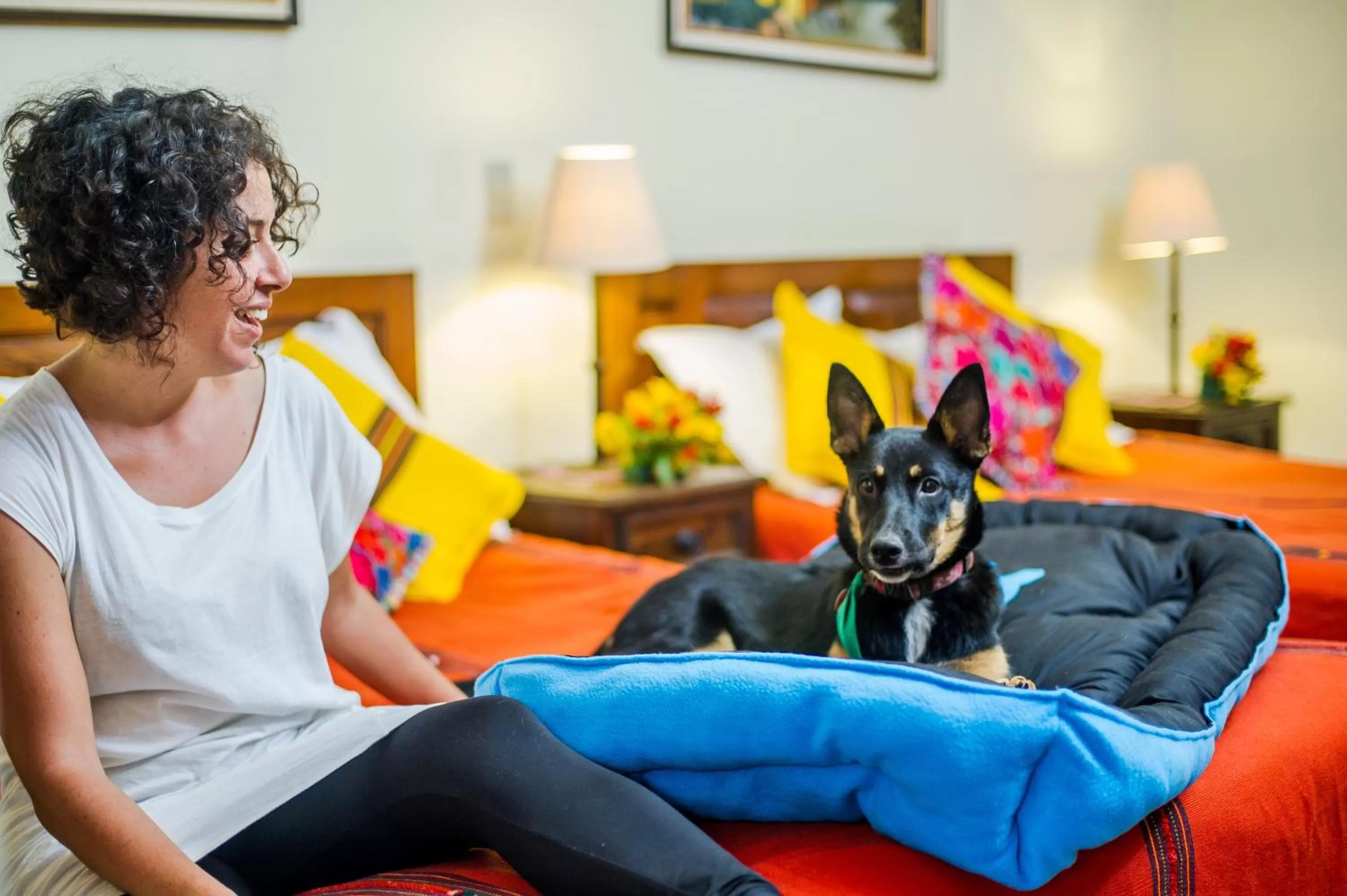 Pets in Hotel Panchoy by AHS