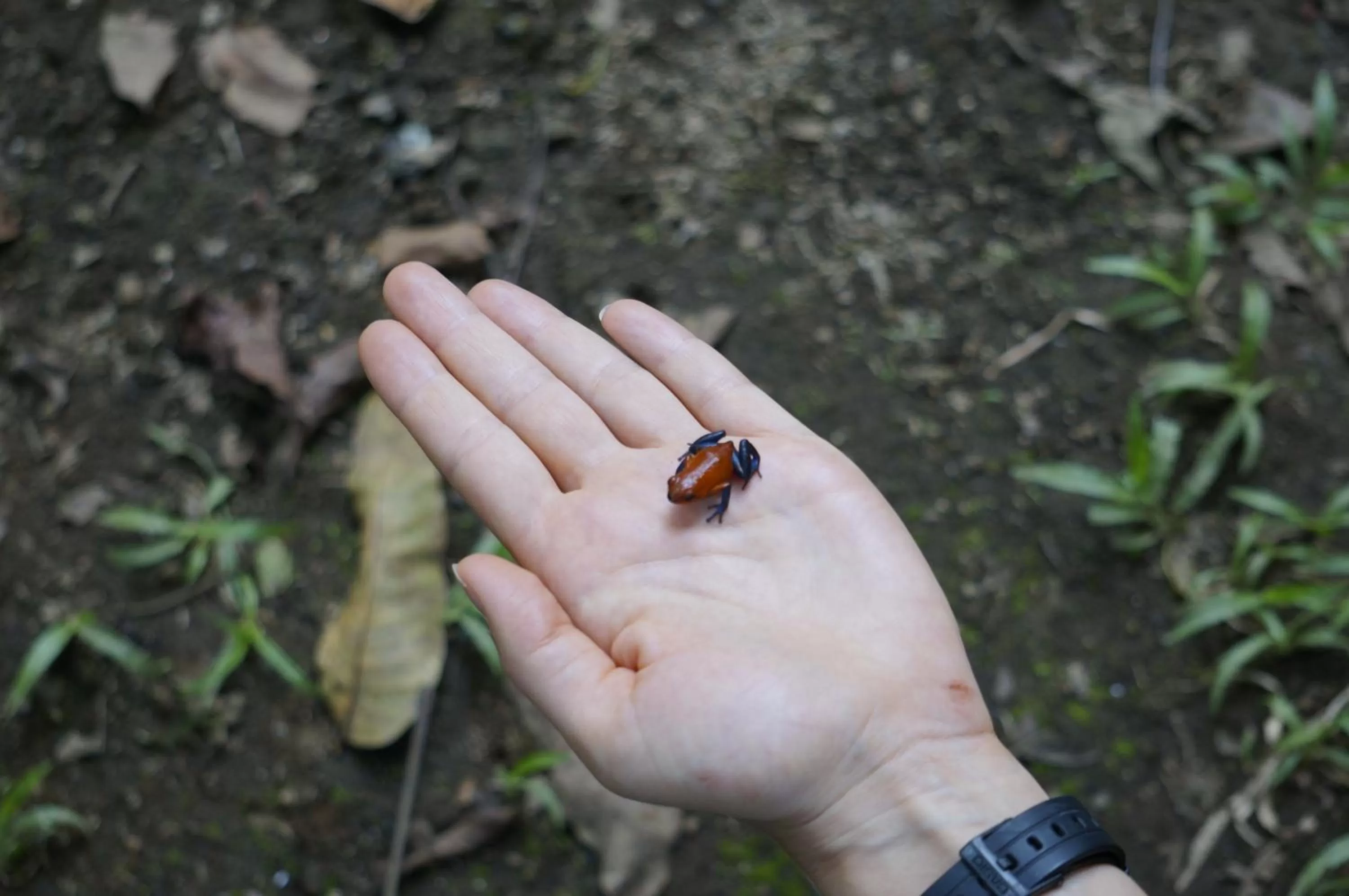 Area and facilities in Hotel Monte Real