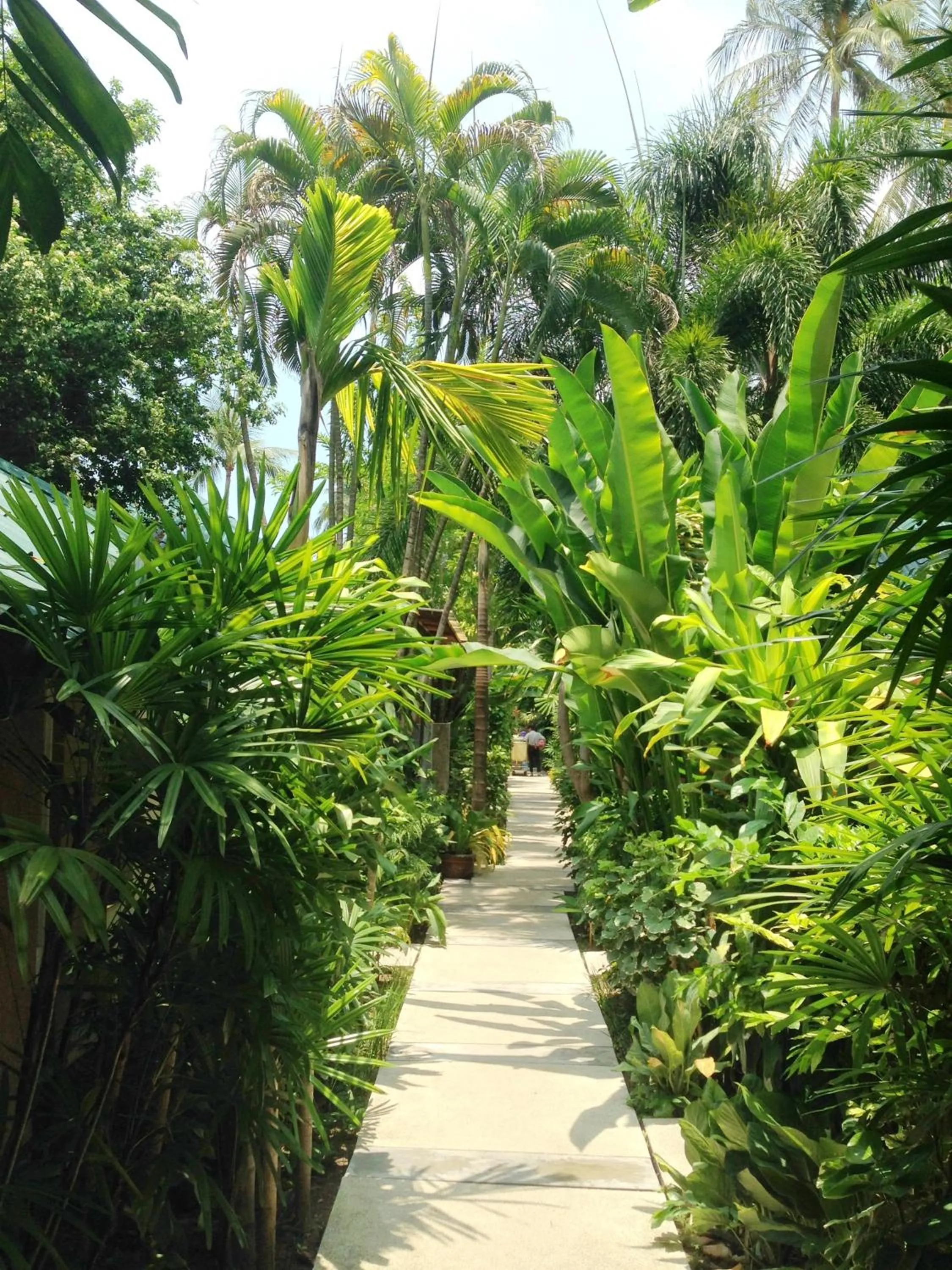 Day in Evergreen Resort