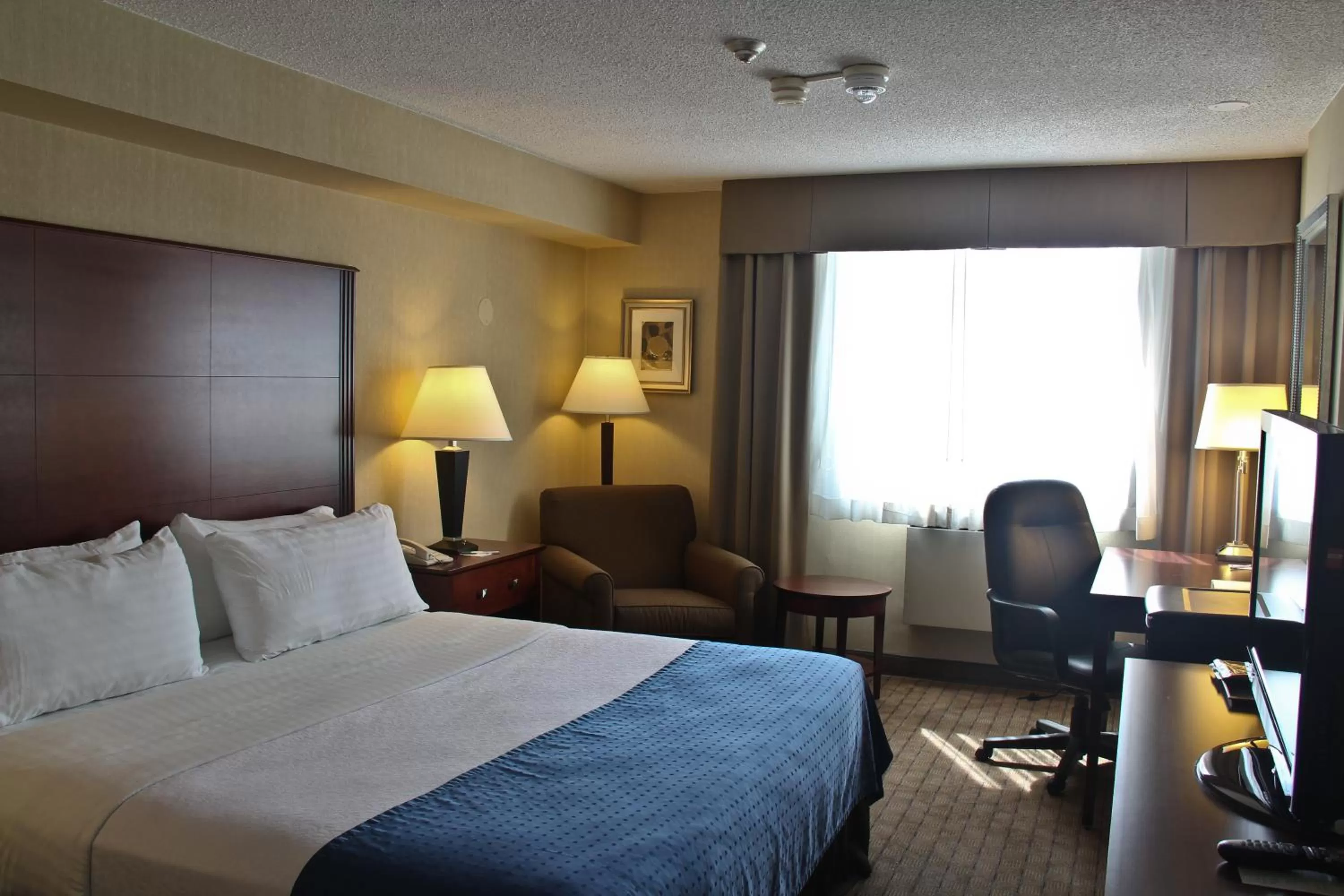 Deluxe Room in Holiday Inn & Suites Winnipeg Downtown, an IHG Hotel