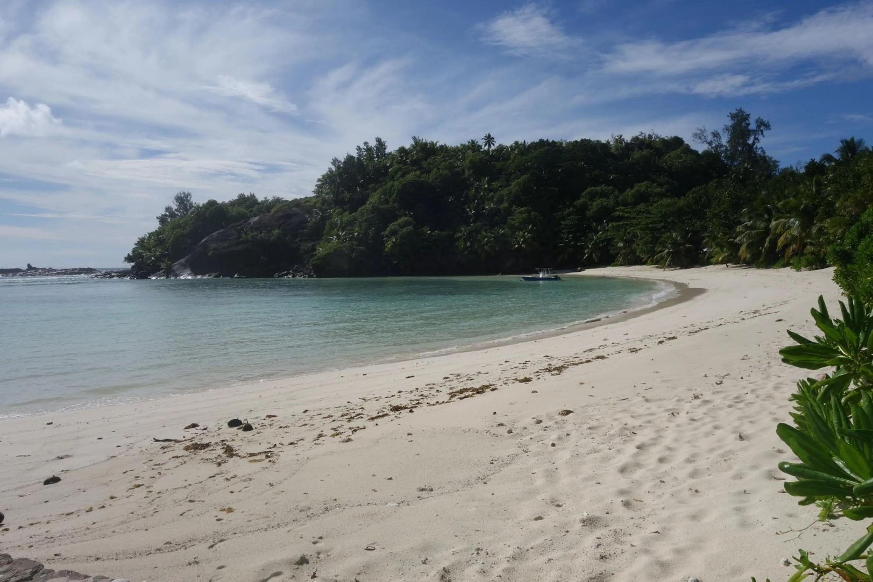 Beach in Forest Lodge