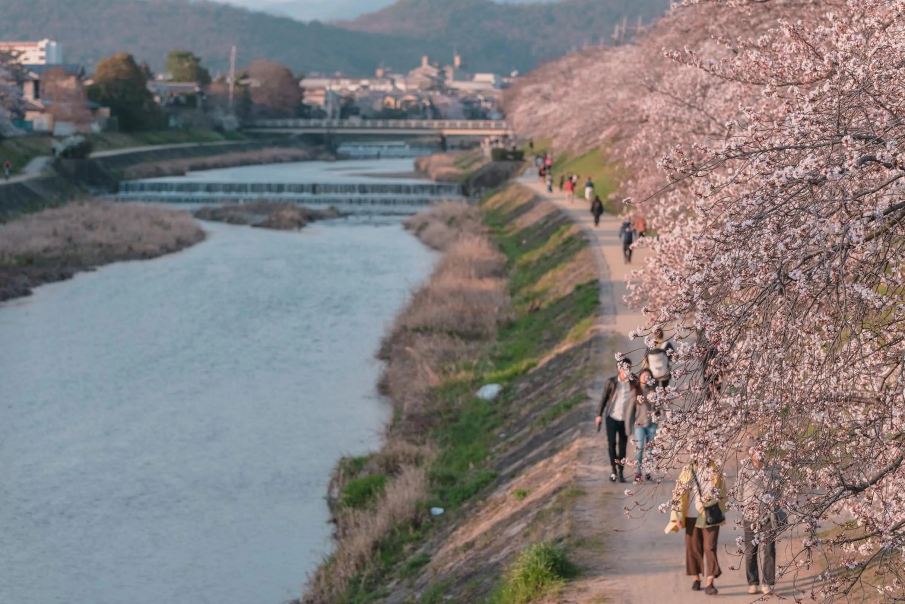 Nearby landmark in My K House