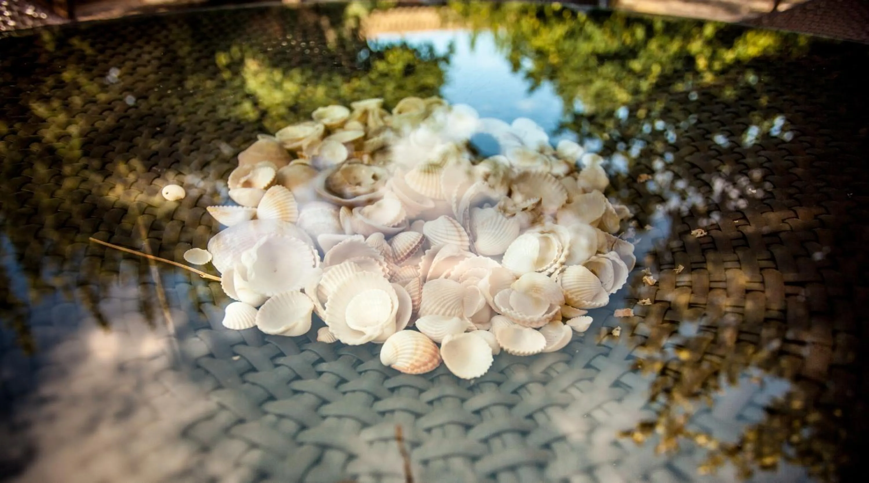 Other in Hotel Fiore Di Maggio