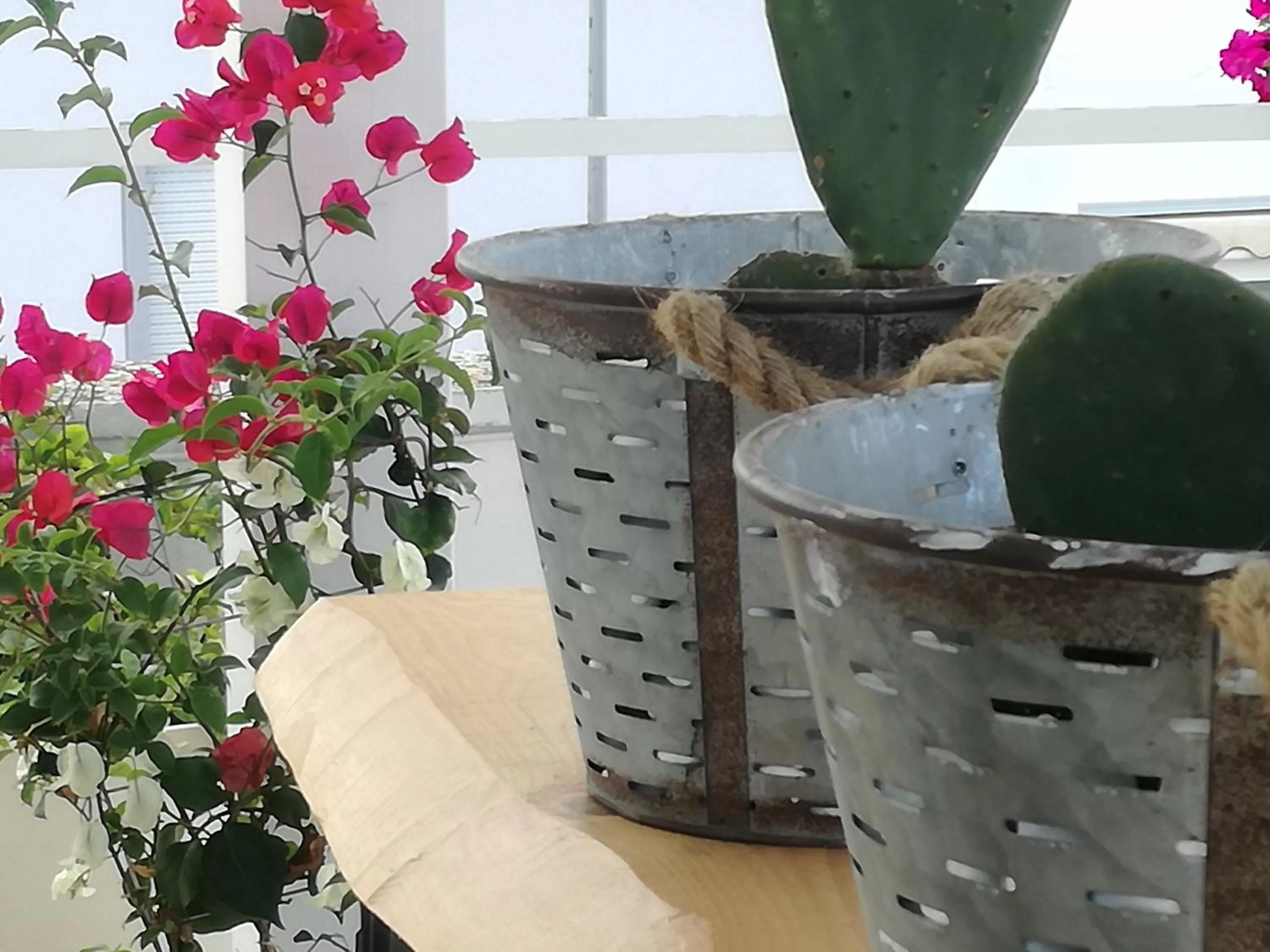 Patio in Casa del Corso