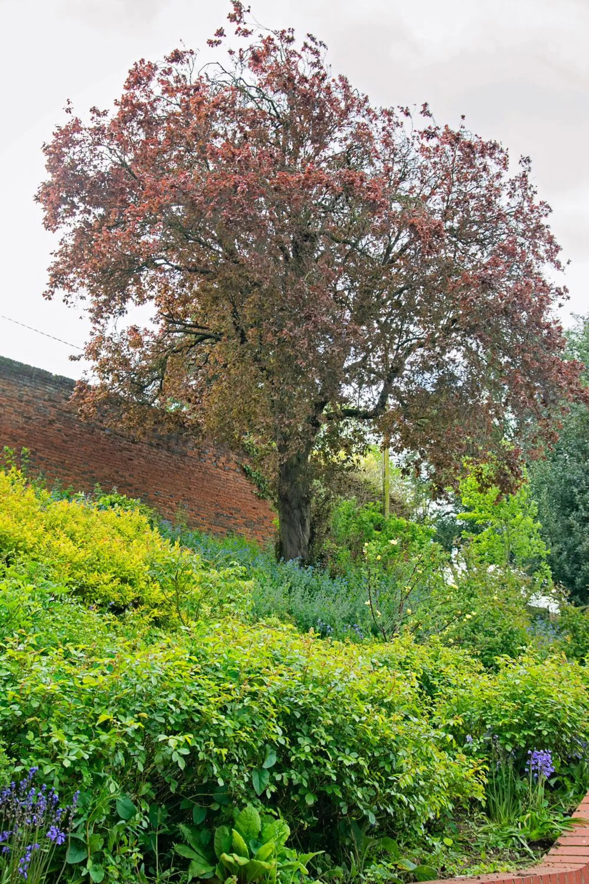 Day in Waveney House Hotel