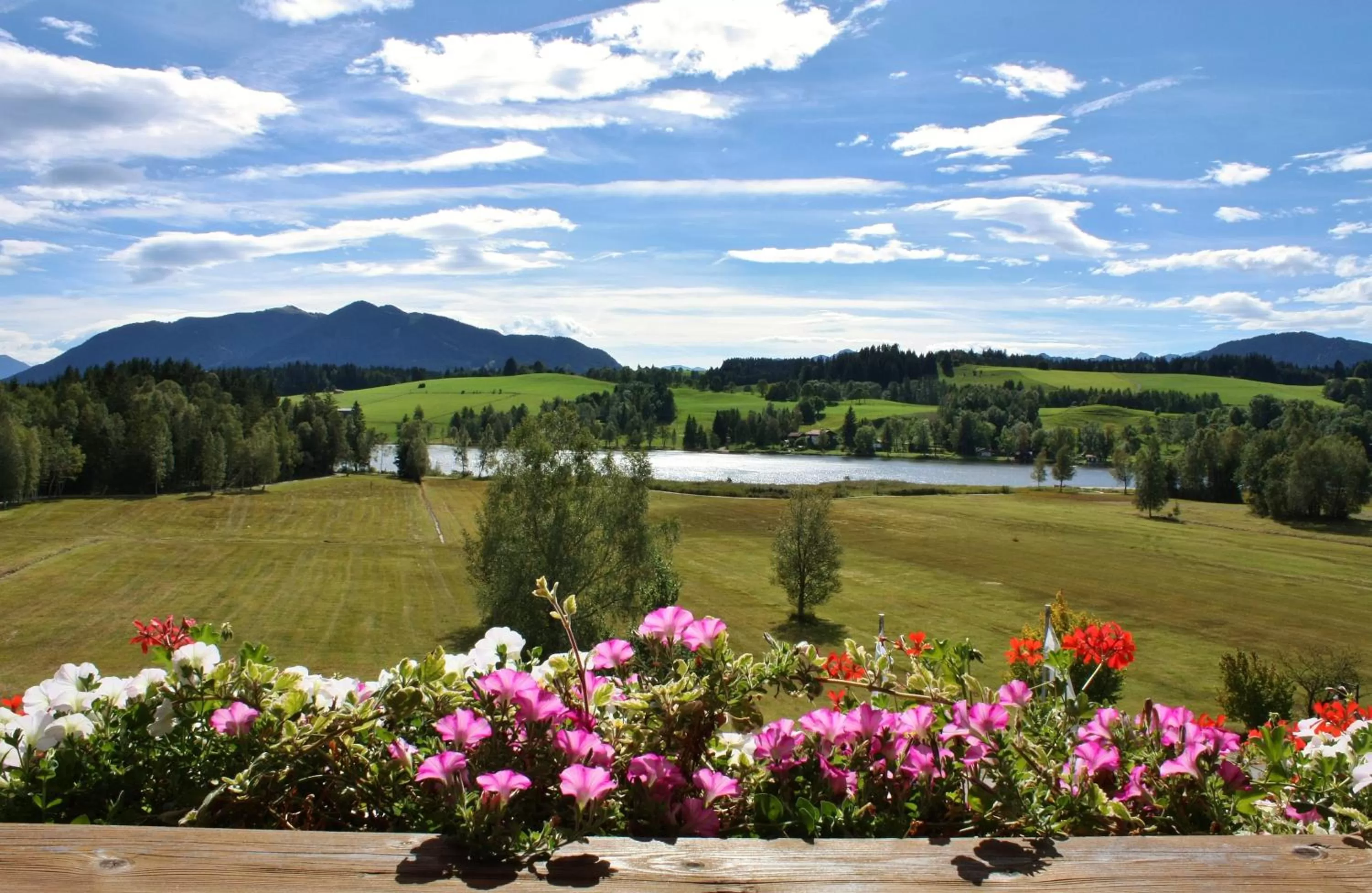 Natural landscape in Parkhotel am Soier See