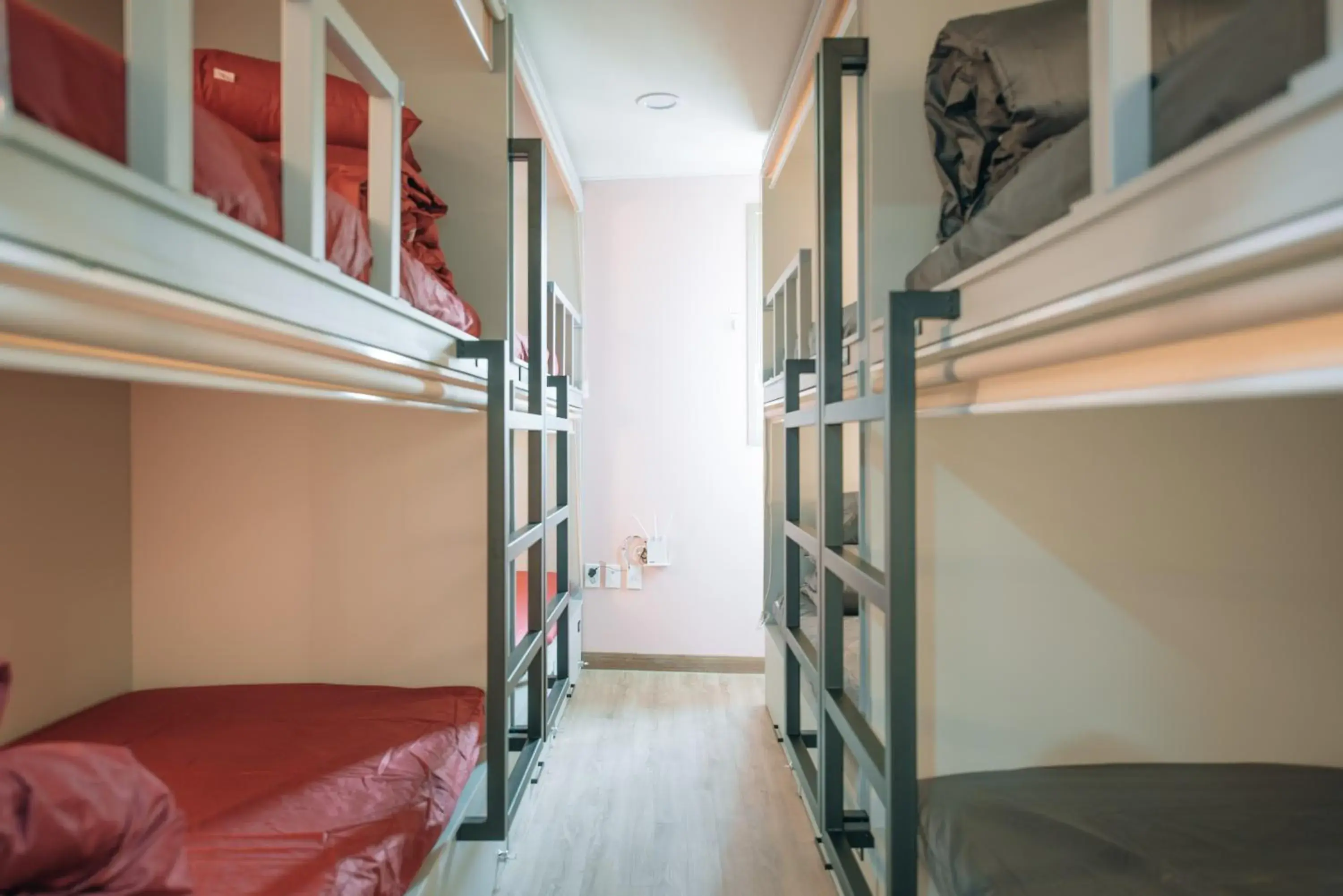 Single Bed in Female Dormitory Room in Daegu Midtown Hostel Single Bed in Female Dormitory Room in Daegu Midtown Hostel