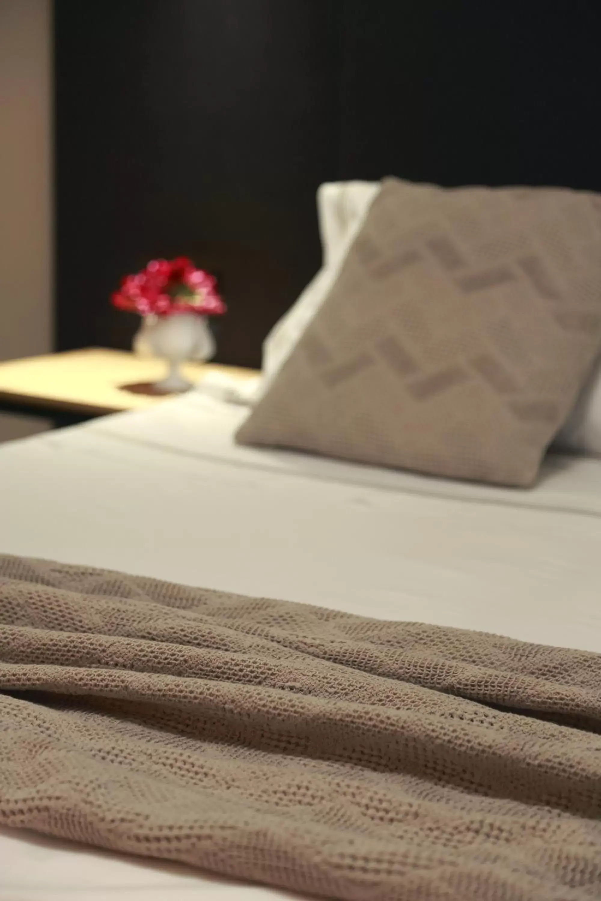 Superior Double or Twin Room in Hotel Aloisi Superior Double or Twin Room in Hotel Aloisi