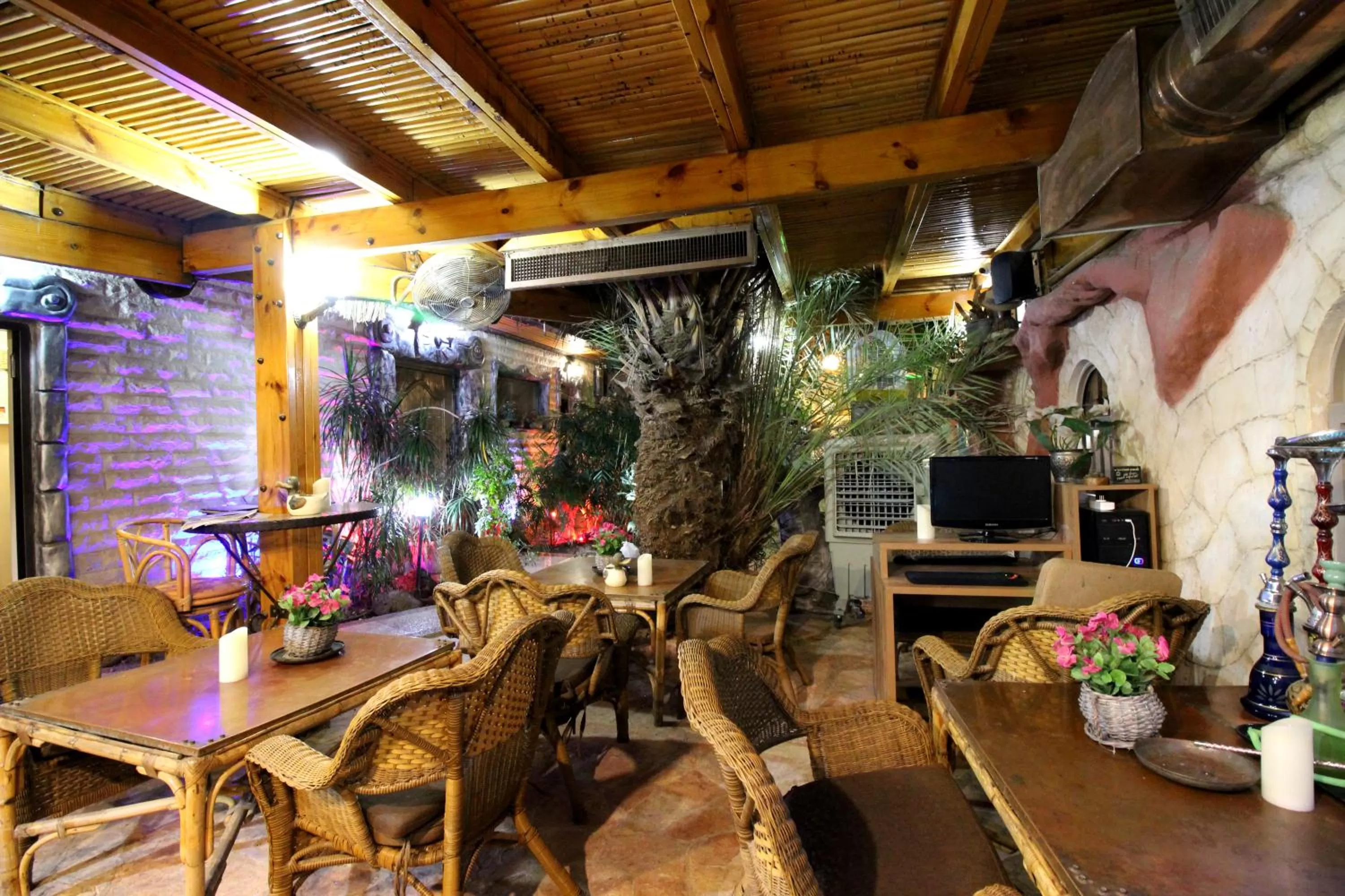 Garden in Sunset Inn