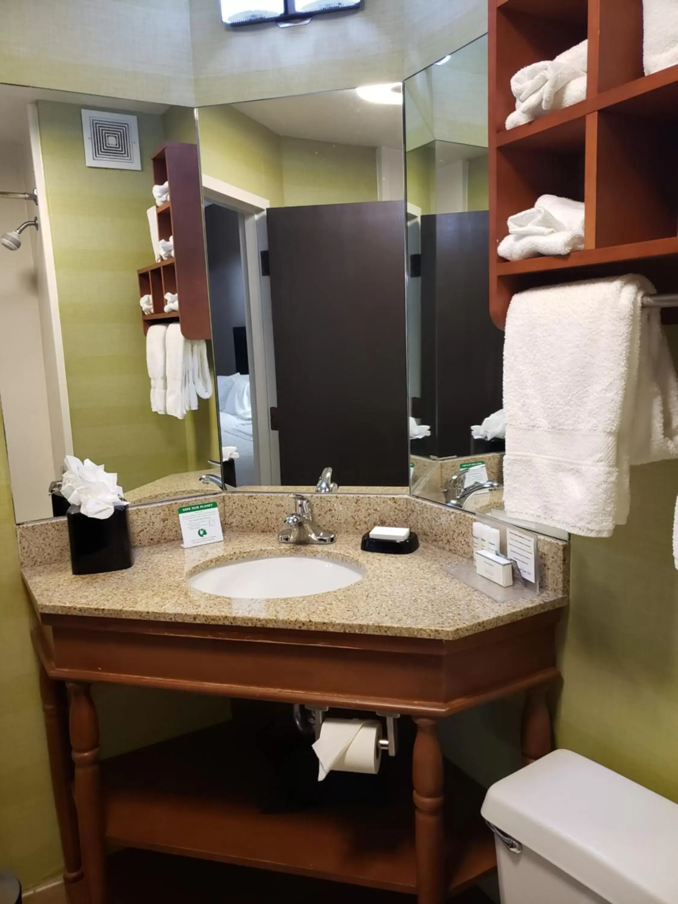 Standard Room in Spark by Hilton Tampa Brandon Standard Room in Spark by Hilton Tampa Brandon