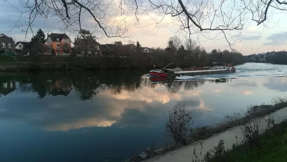 LES PINGOUINS DE LA MARNE