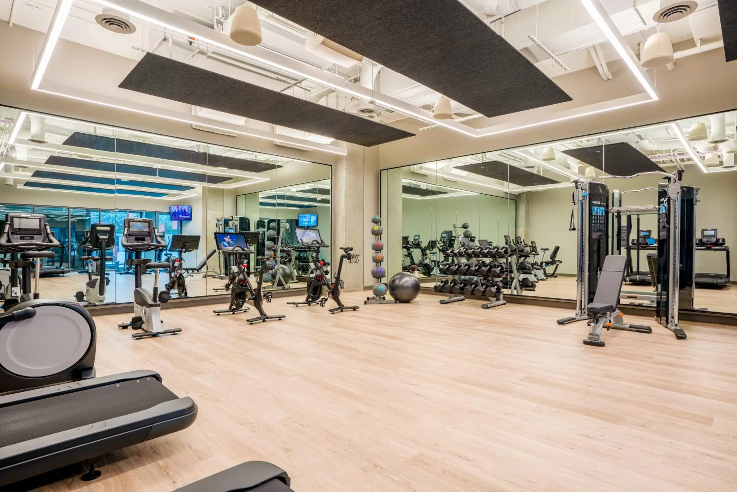 Fitness centre/facilities in Shashi Hotel Mountain View Palo Alto