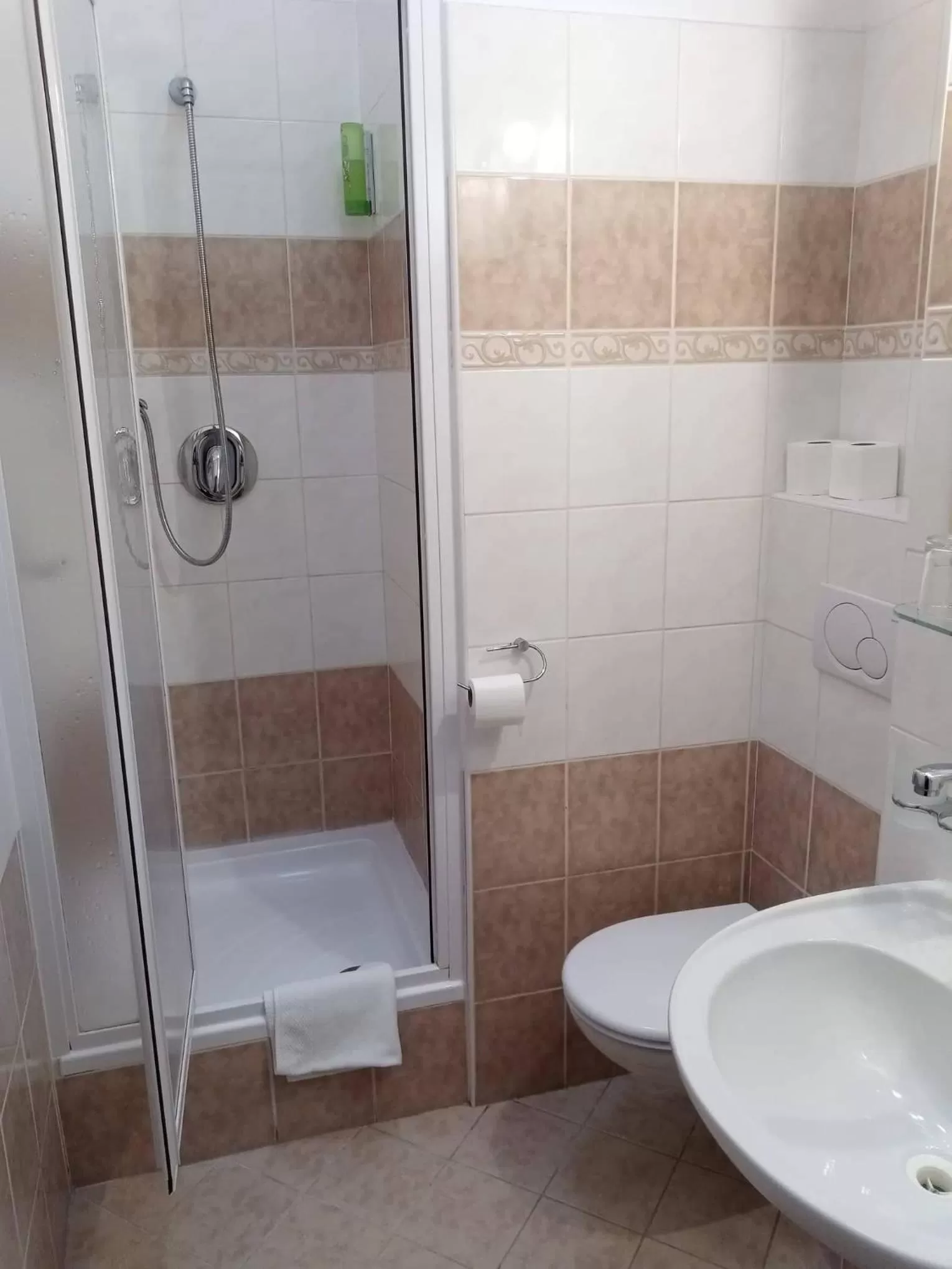 Bathroom in Hotel Bílý Koníček