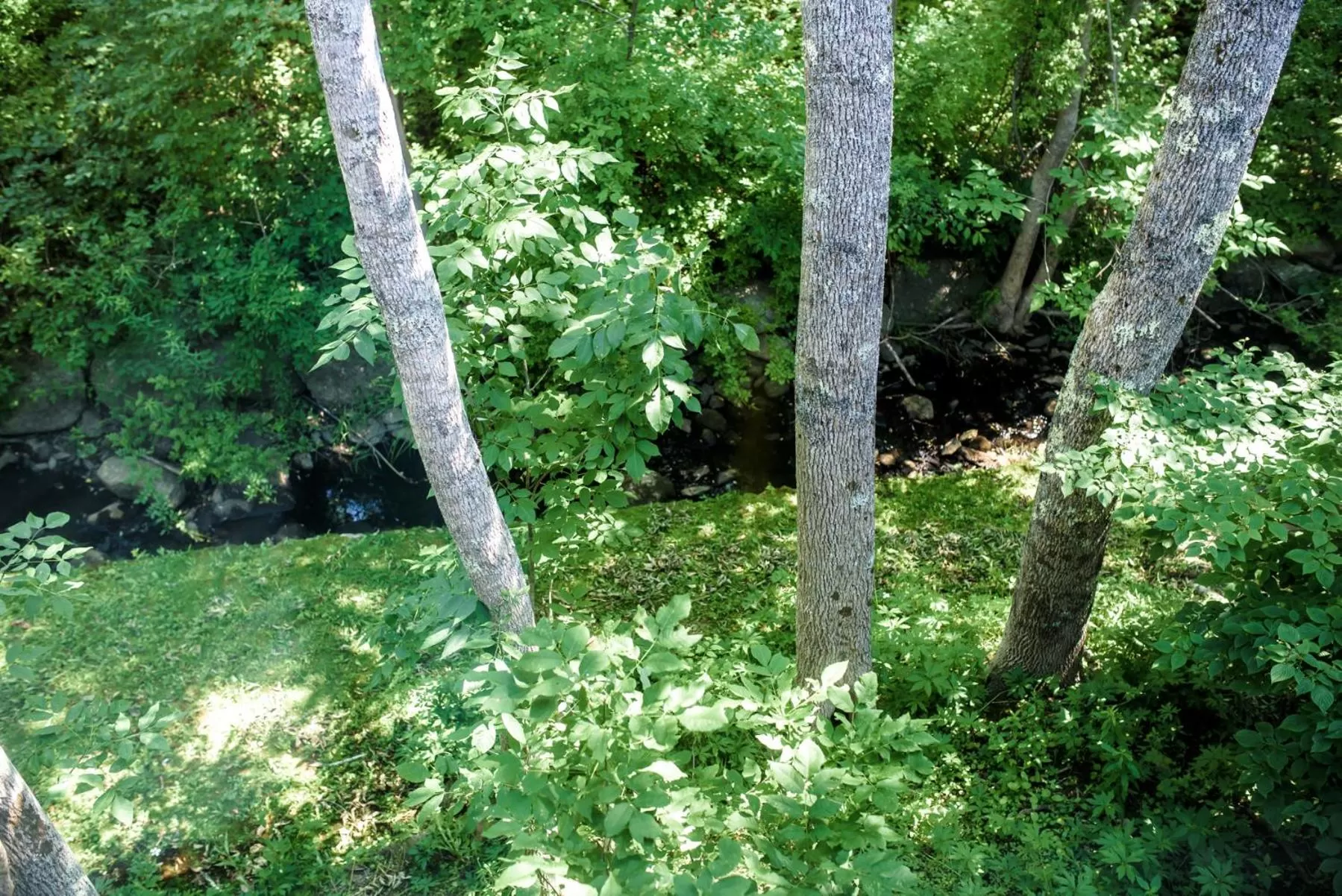 The Kitch'inn - Boutique Inn and Wine Bar