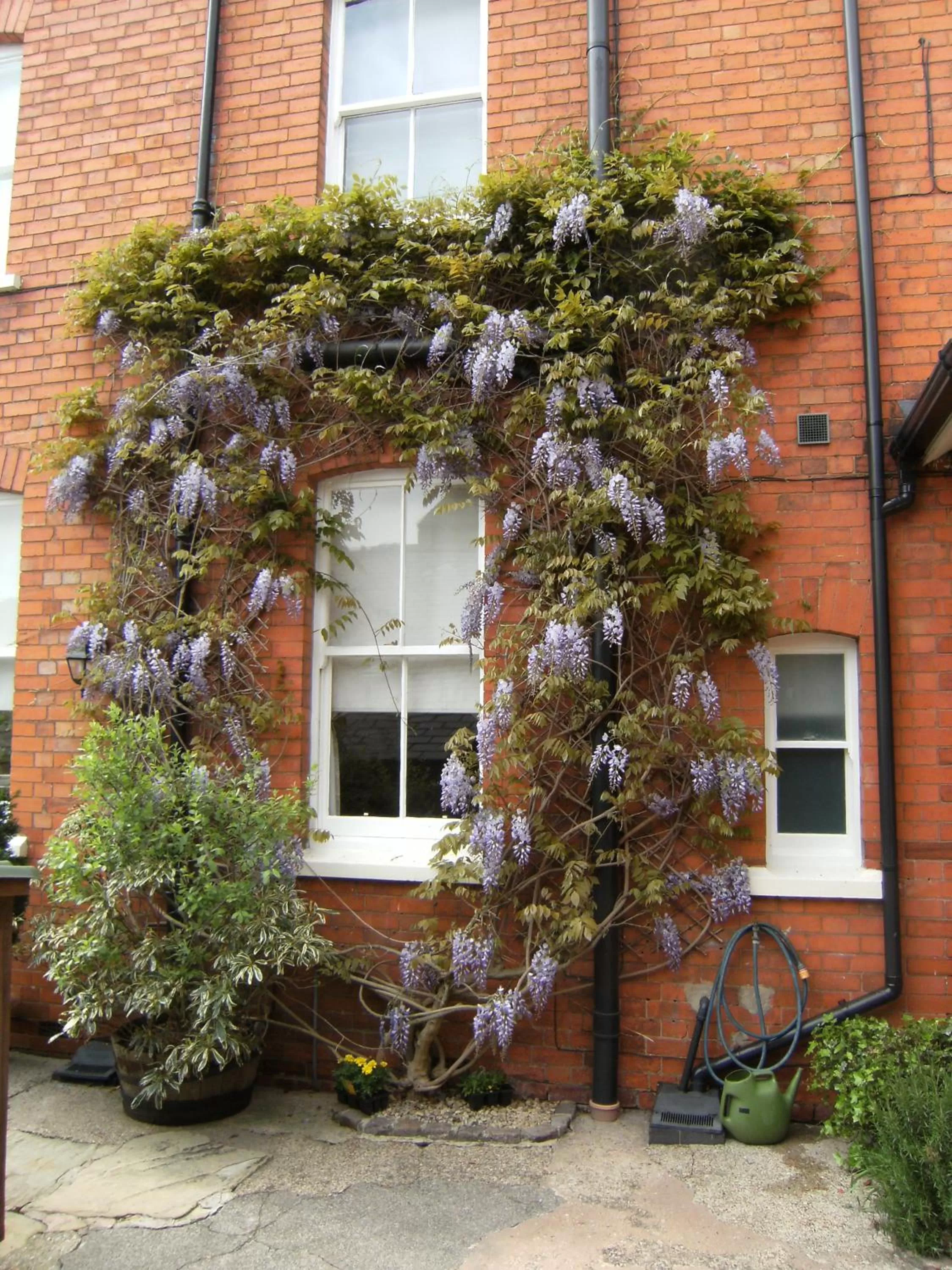 Spring in Bridge House Bed & Breakfast