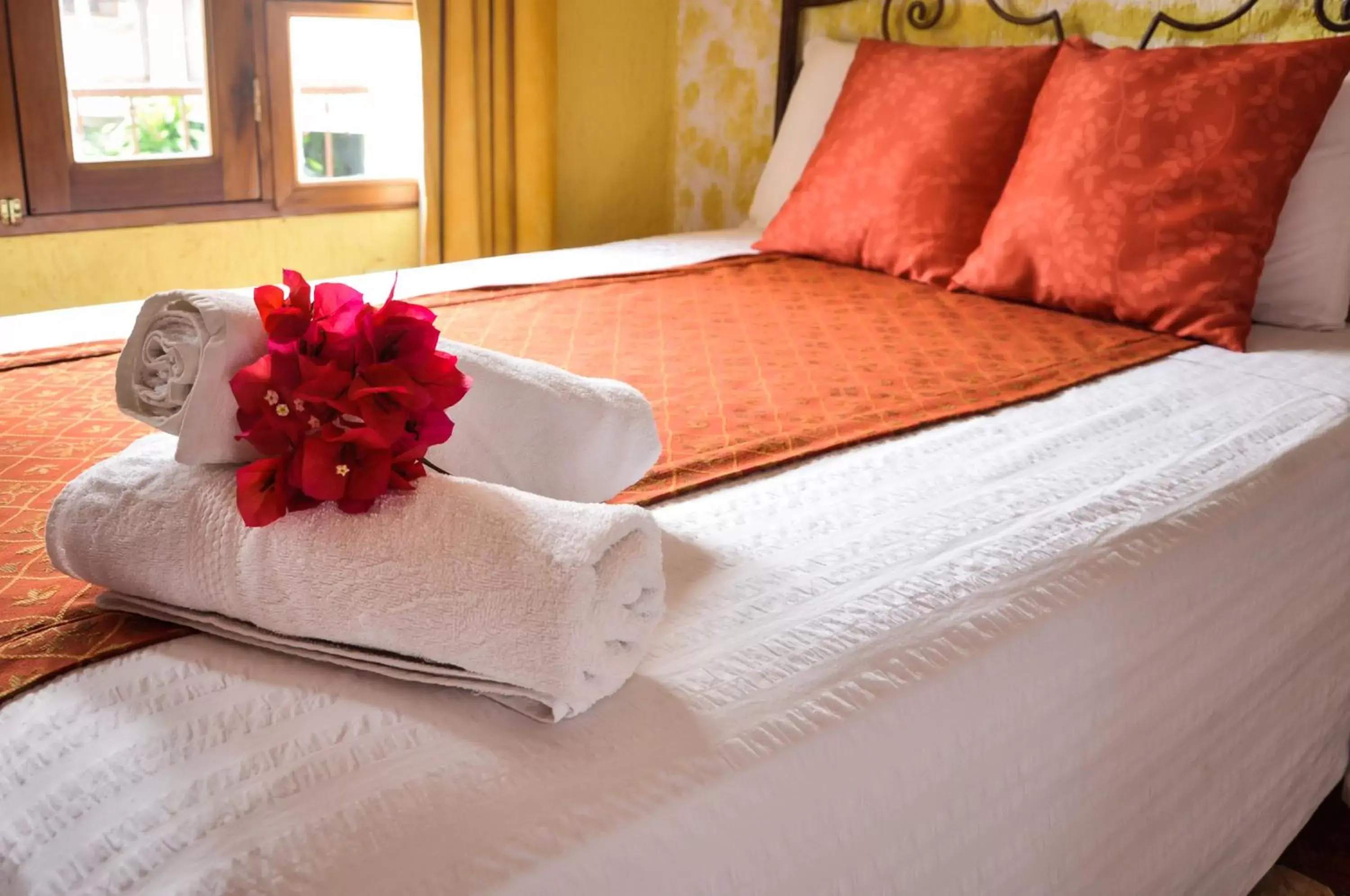 Double Room in Hotel Quinta Maya Double Room in Hotel Quinta Maya