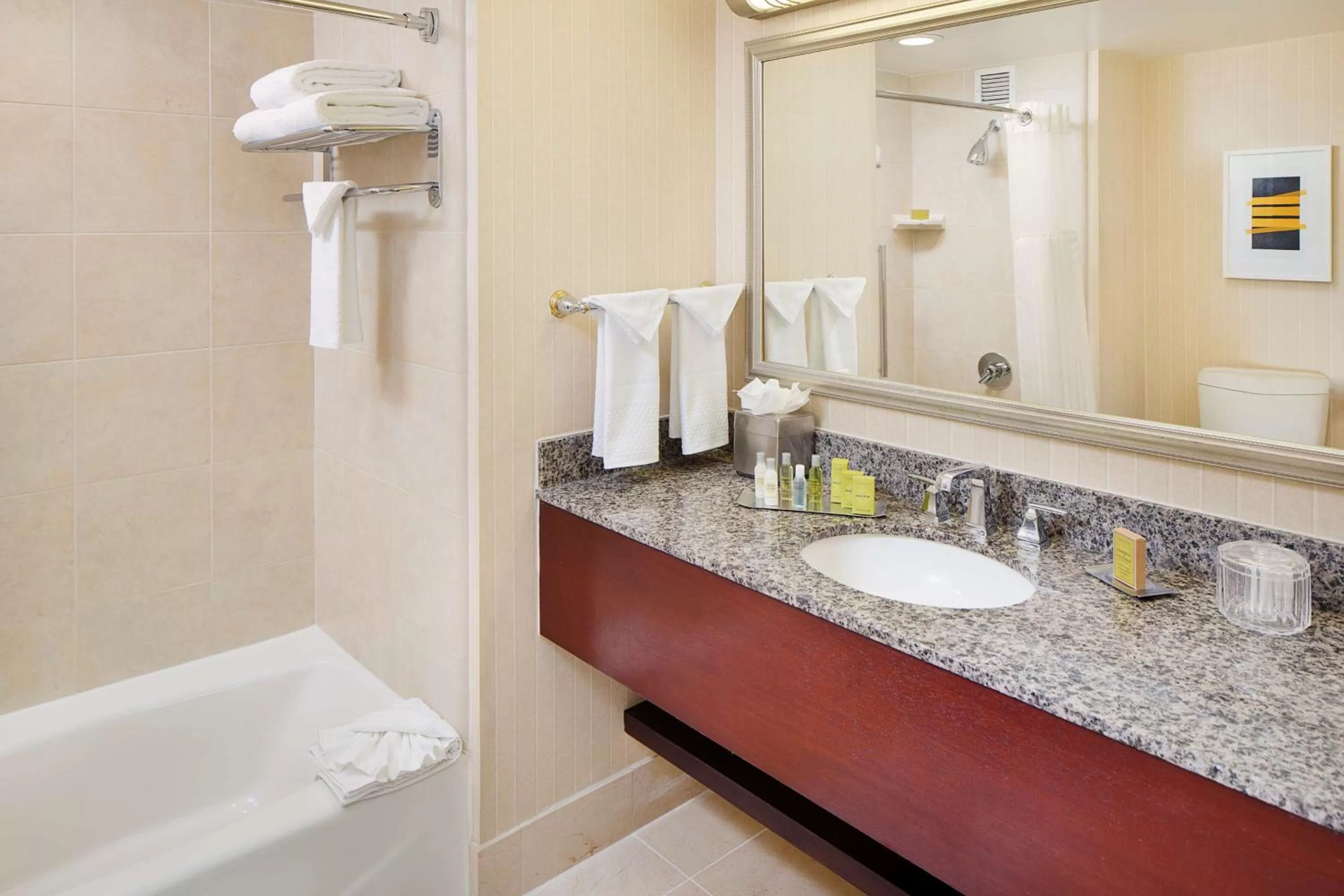 Bathroom in DoubleTree by Hilton Los Angeles/Commerce