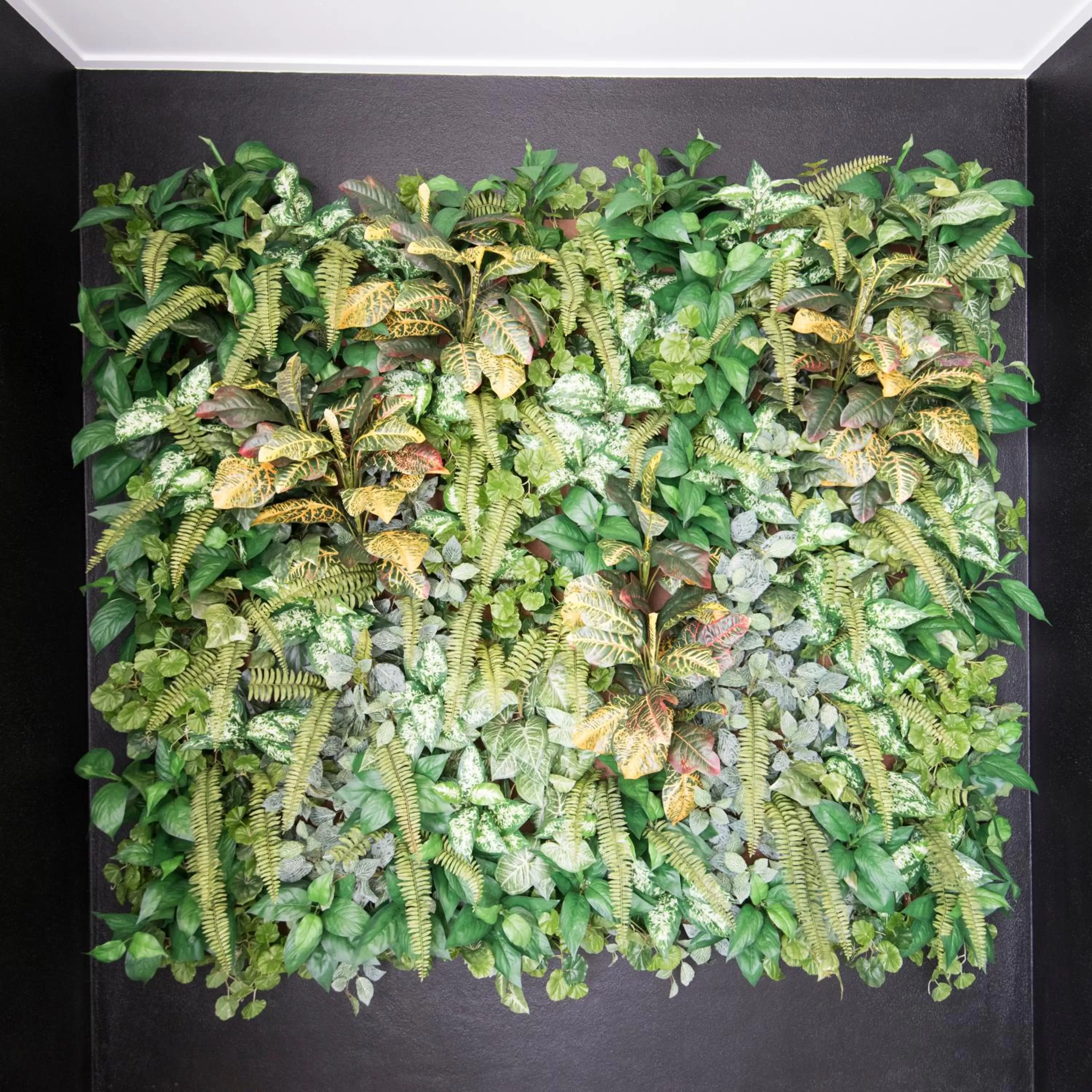 Balcony/Terrace in Riviera Mackay