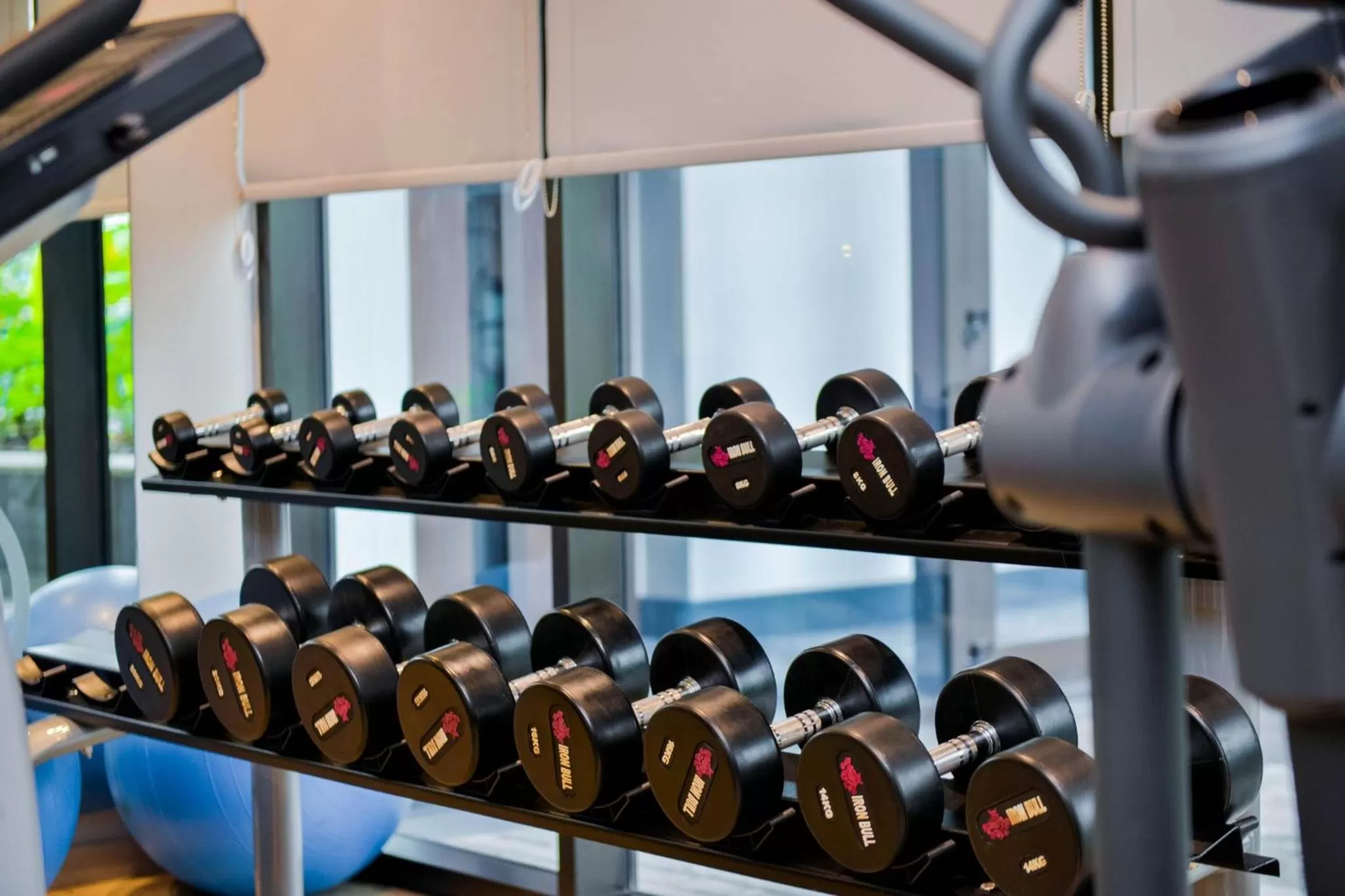 Fitness centre/facilities in Crowne Plaza - Dar Es Salaam by IHG