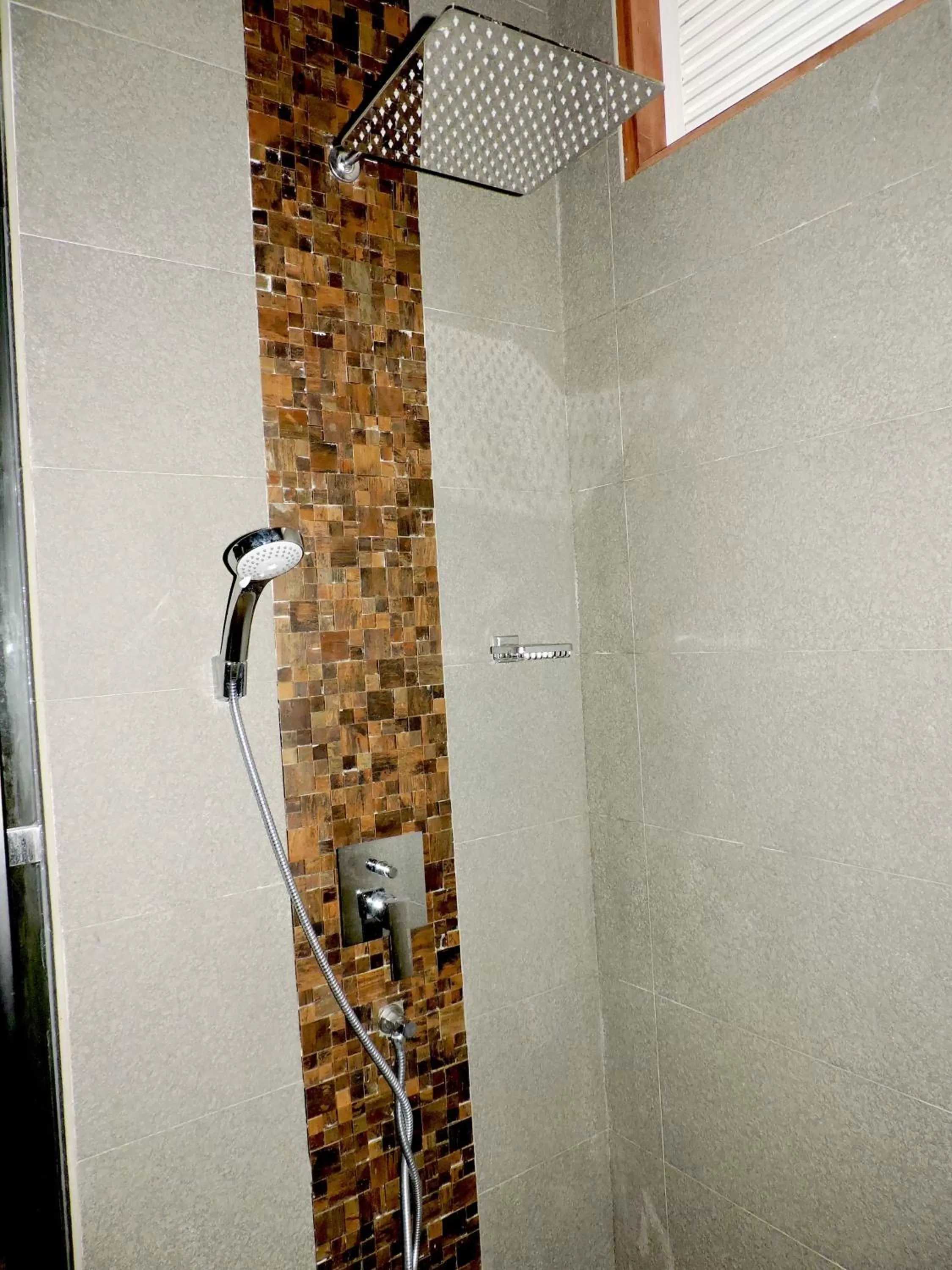 Shower in Ballena Regency