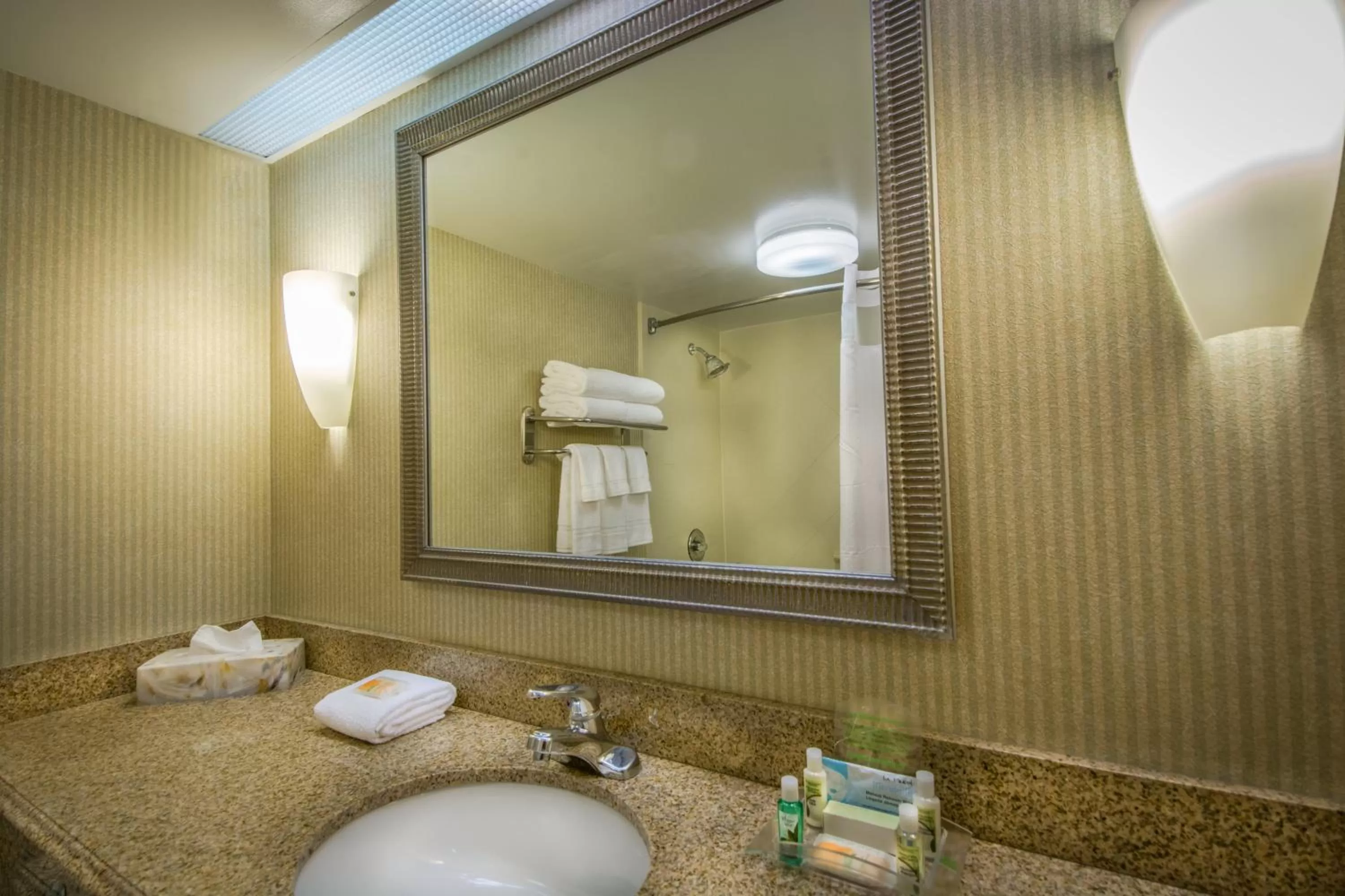 Bathroom in Holiday Inn Arlington at Ballston by IHG