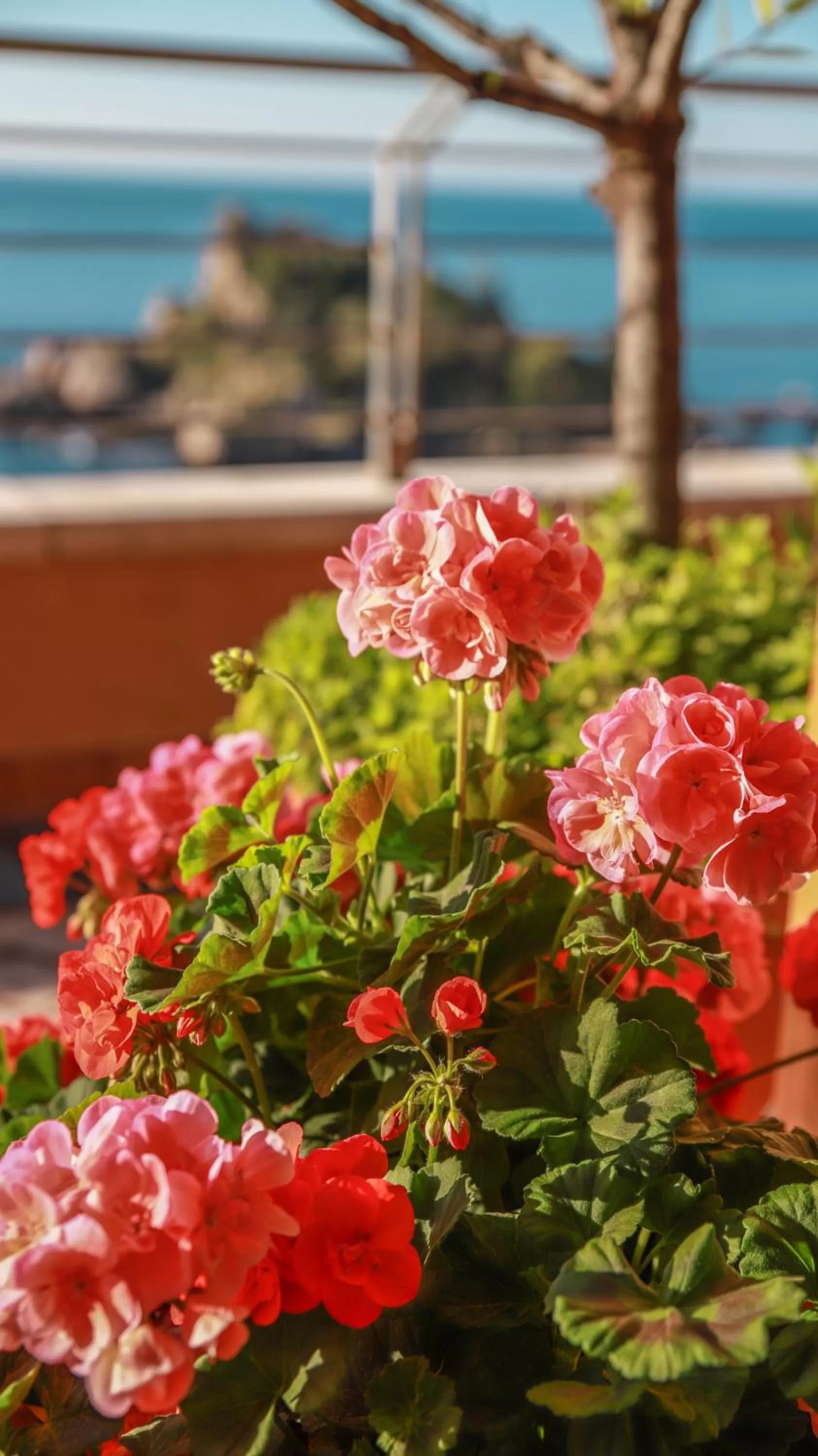 Balcony/Terrace in Taormina Panoramic Hotel