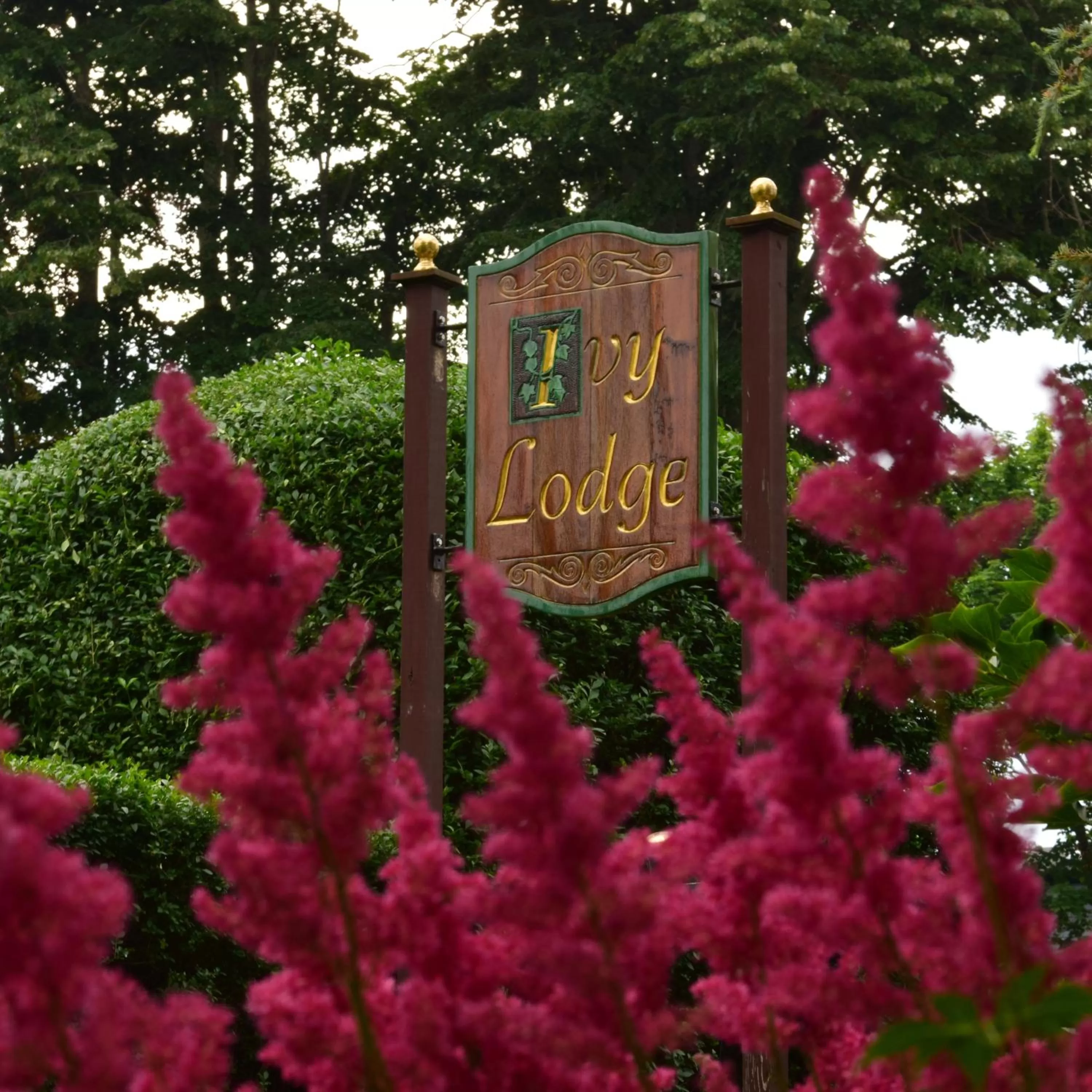 Property building in Ivy Lodge