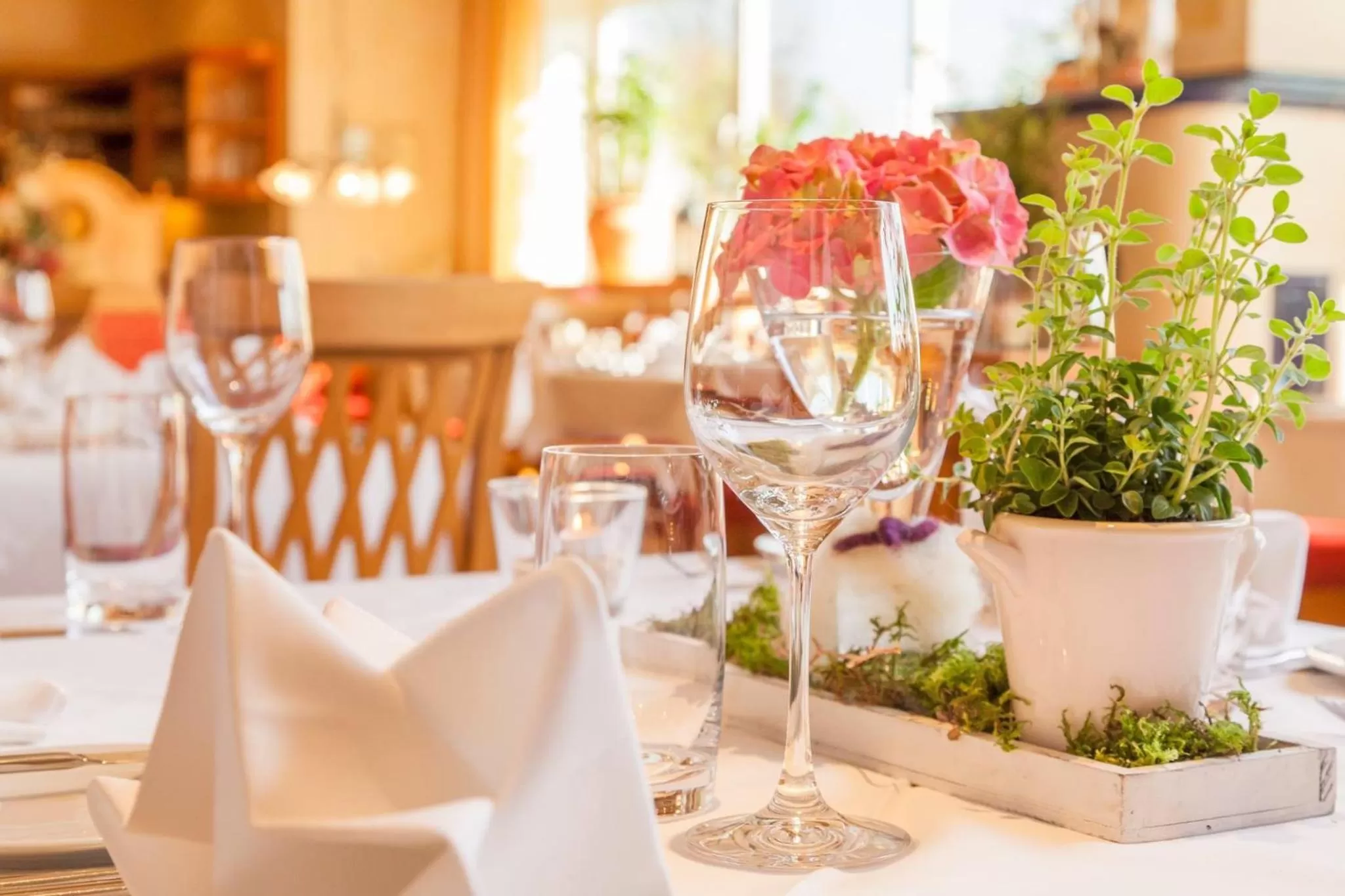 Food and drinks in Hotel Seehof Leipzig