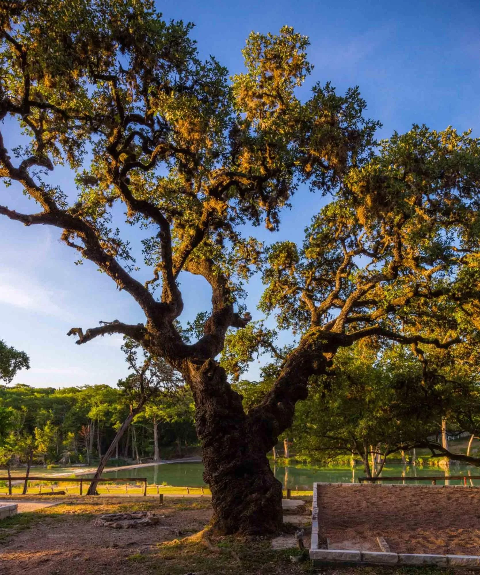 View (from property/room) in 7A Ranch