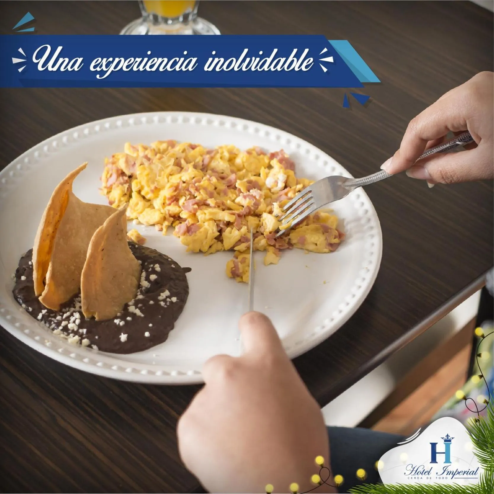 Food and drinks in Hotel Imperial