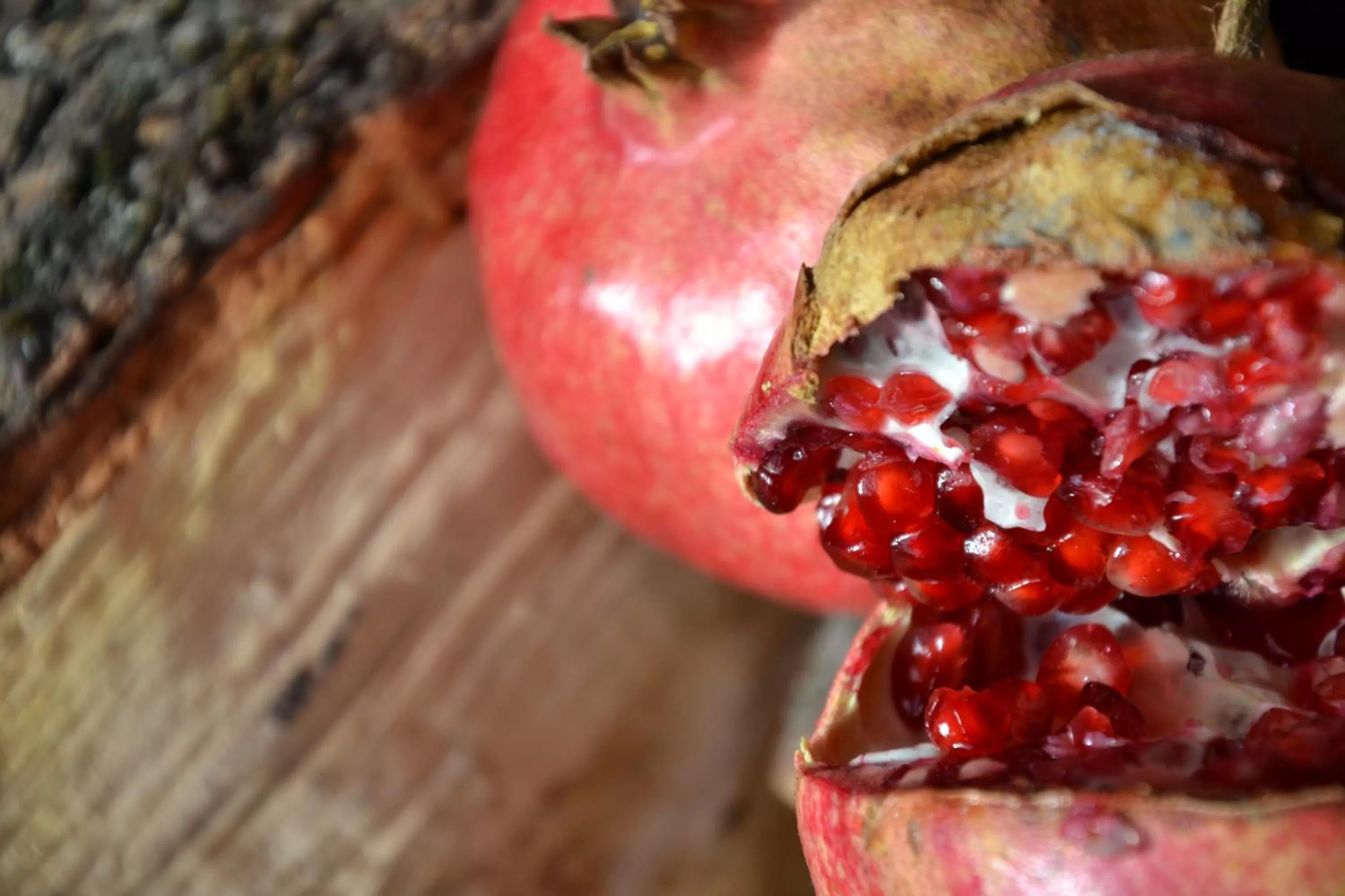 Food close-up in La Combriccola