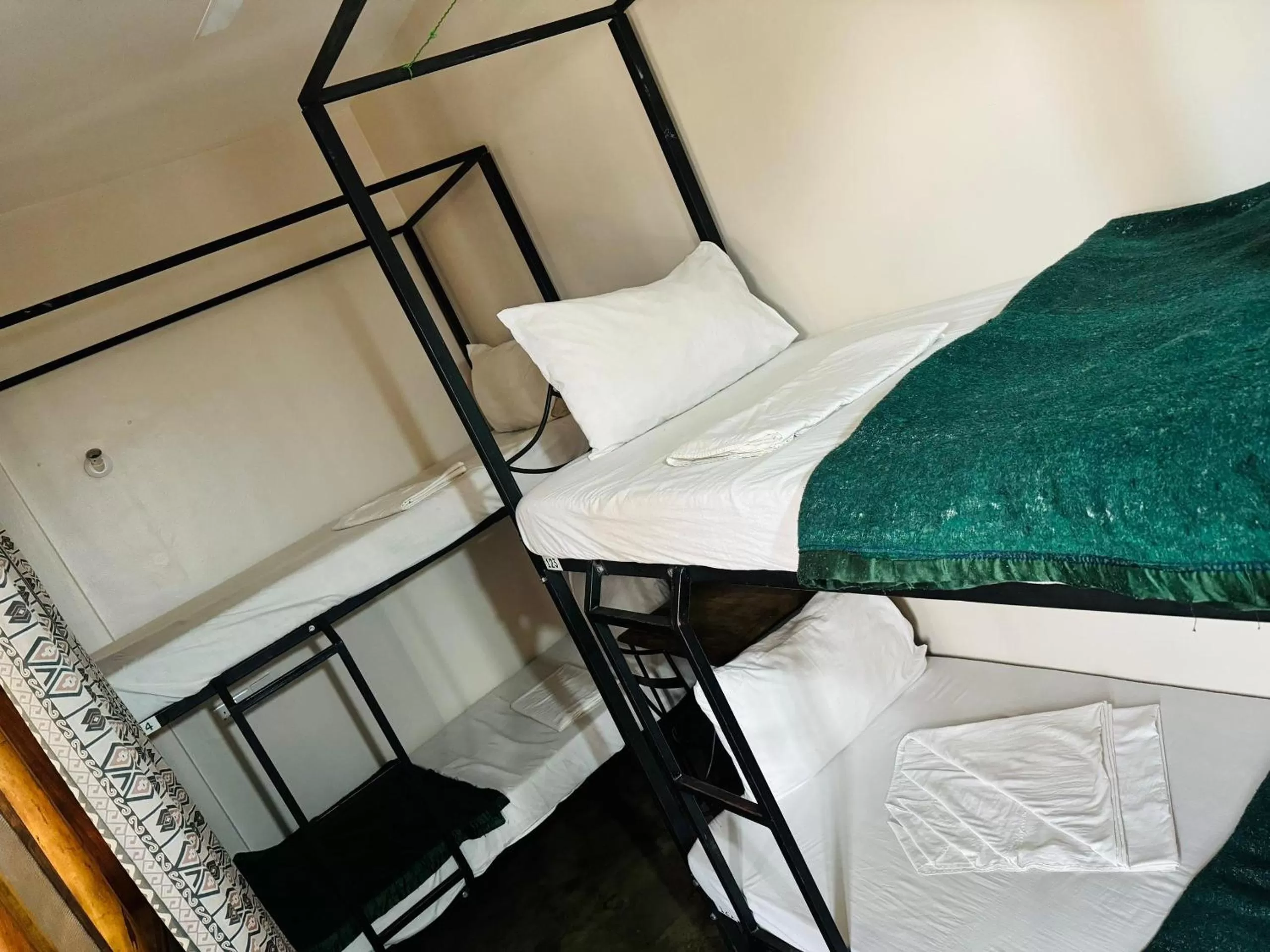 Bed in Arusha Backpackers Hotel
