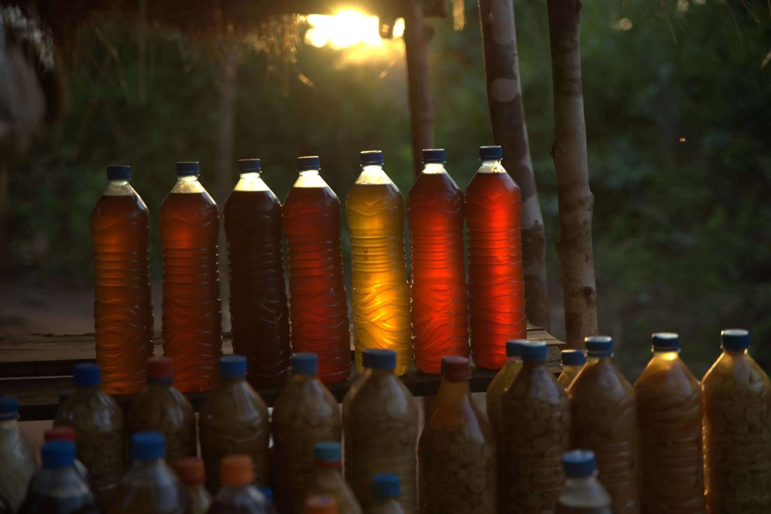 Off site in Hôtel Restaurant Coco Lodge Majunga