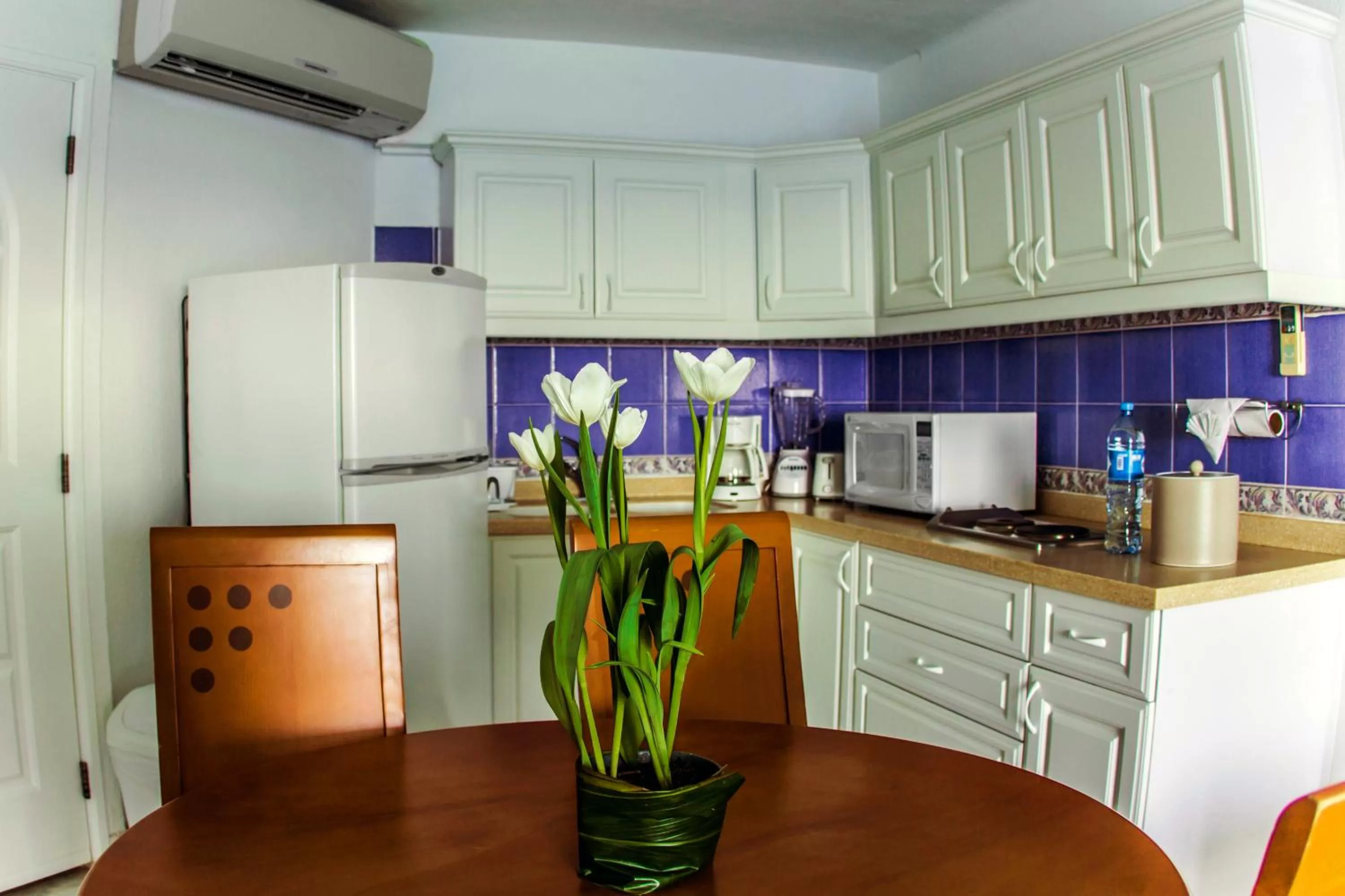 Kitchen or kitchenette in Coral Princess Hotel & Dive Resort