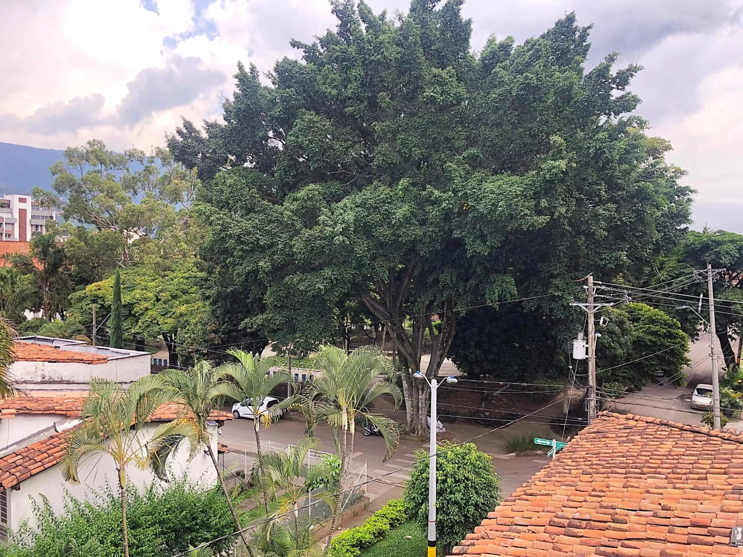 View (from property/room) in Casa Rosales