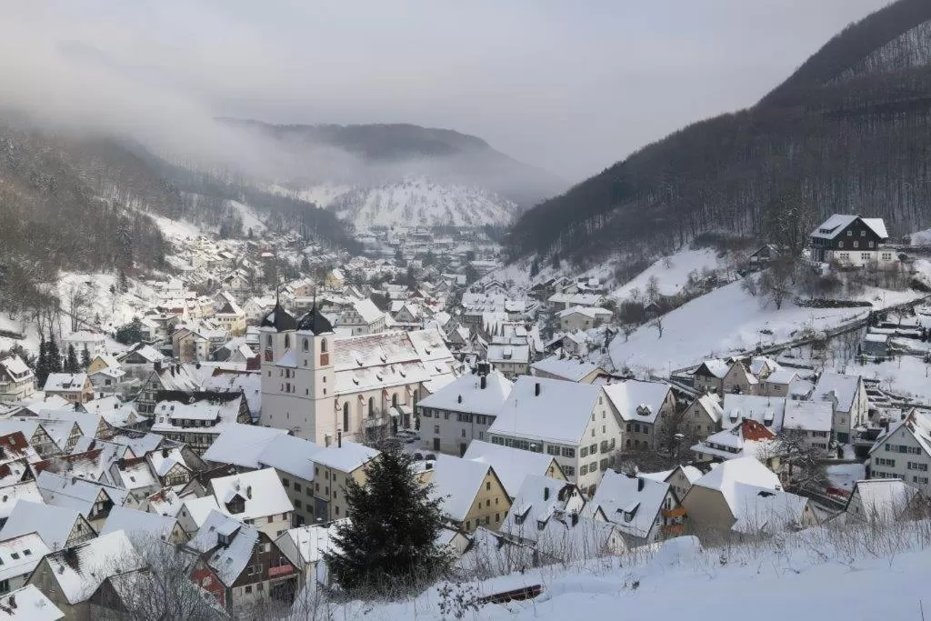 Natural landscape in Albhotel Malakoff - House of Nature
