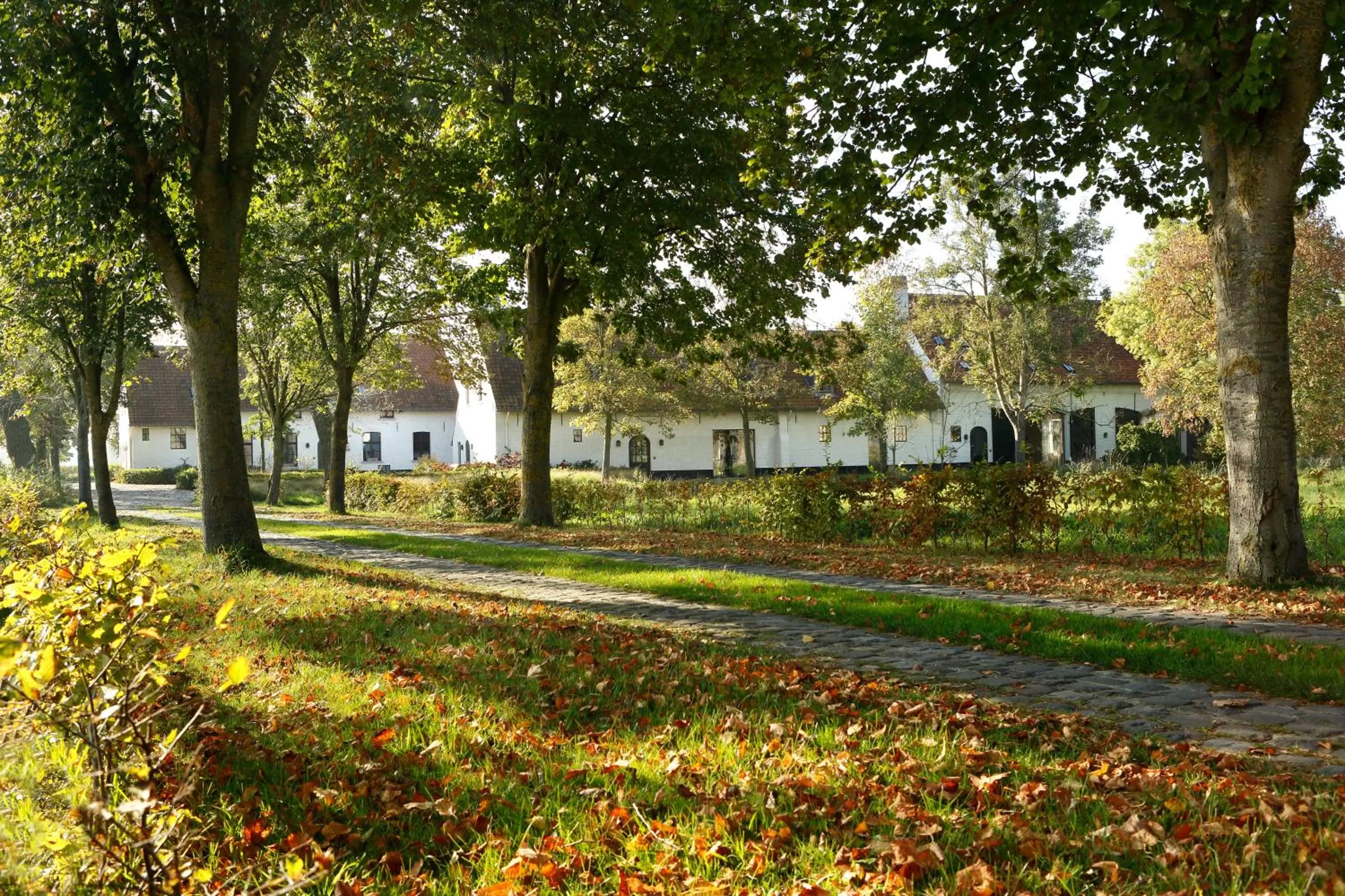 Property Building in De Grote Wateringe