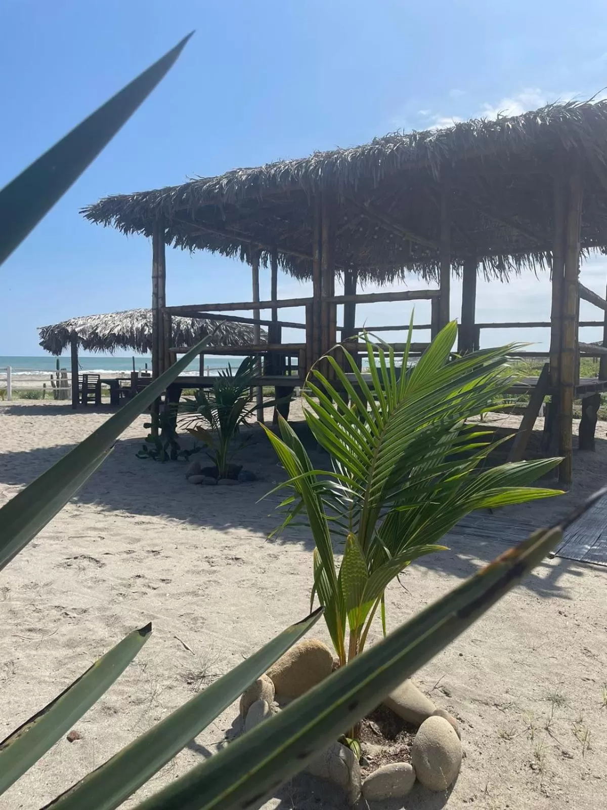 Natural landscape in Un Dia Boutique Resort