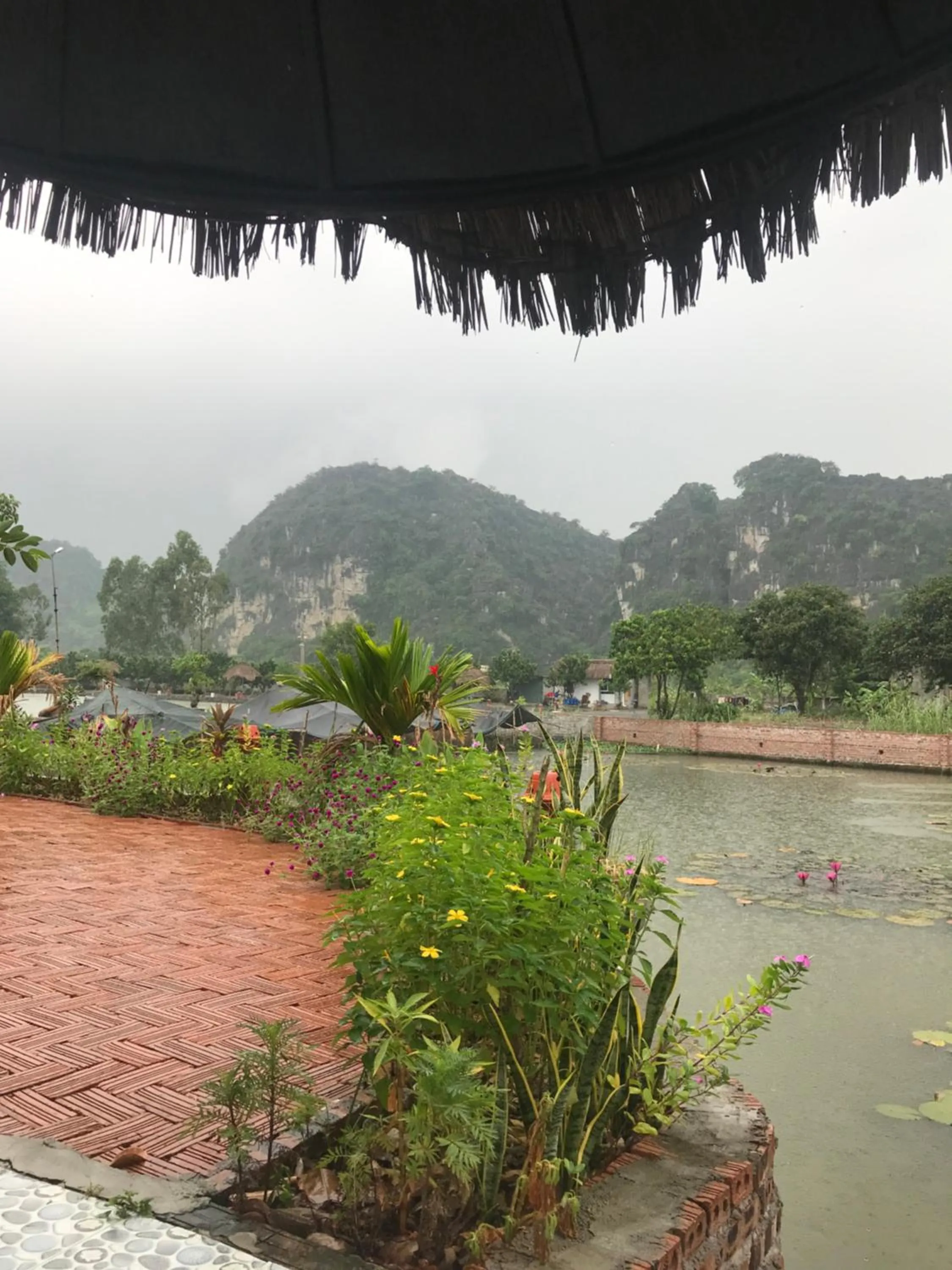 Mountain view in Tam Coc Cat Luong Homestay