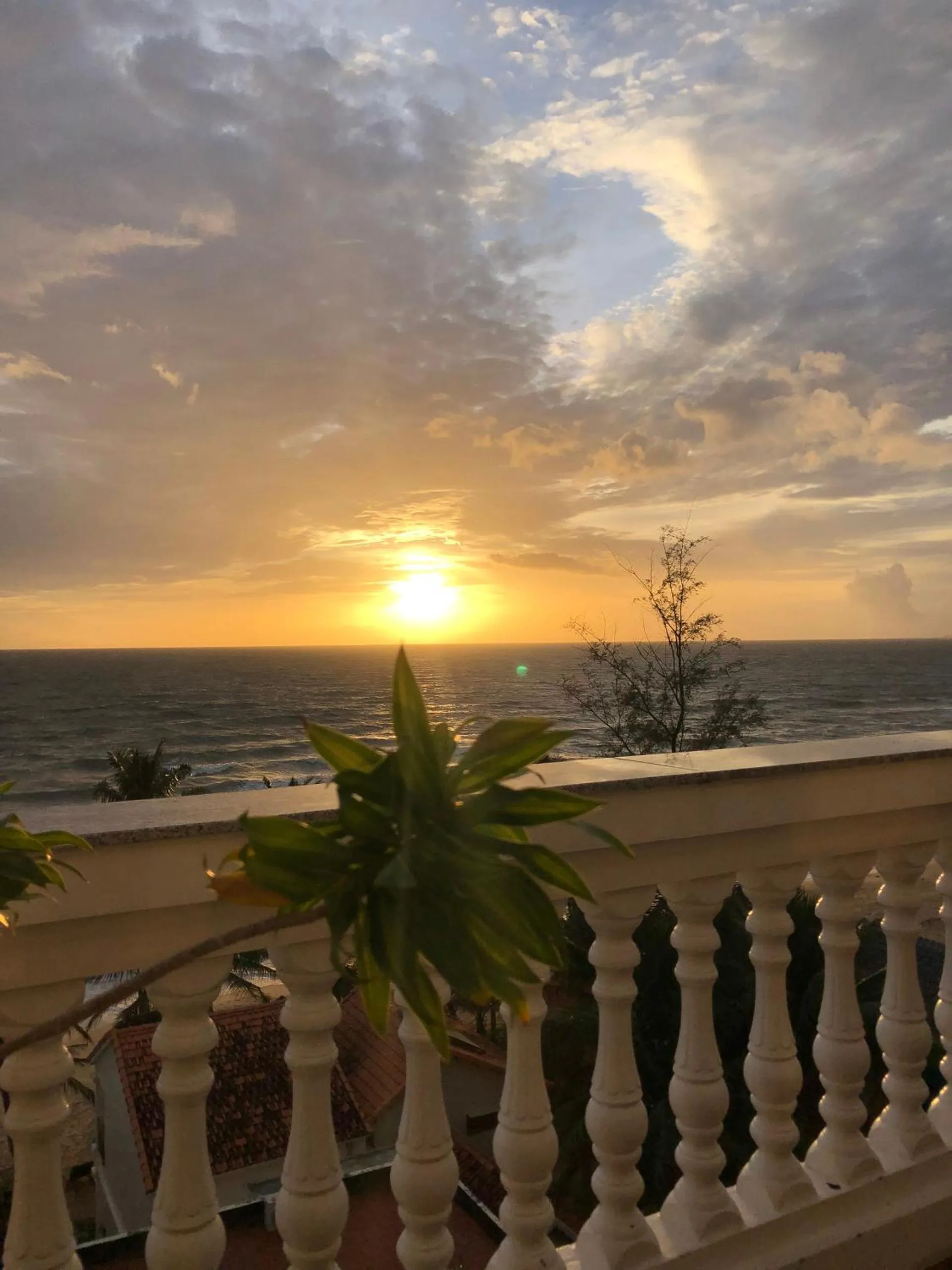 View (from property/room) in Phuong Binh House