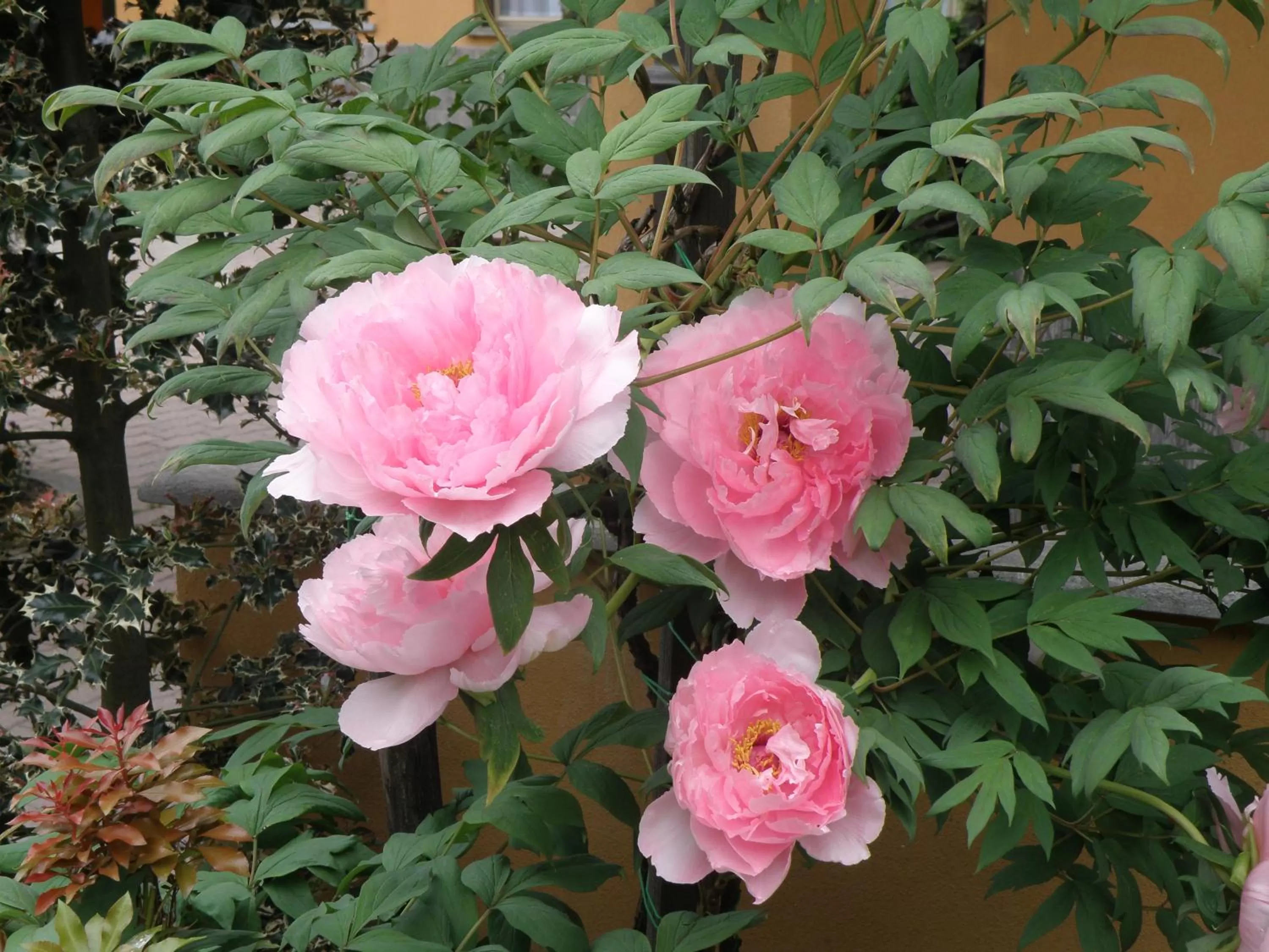 Property building in Hotel la Colletta