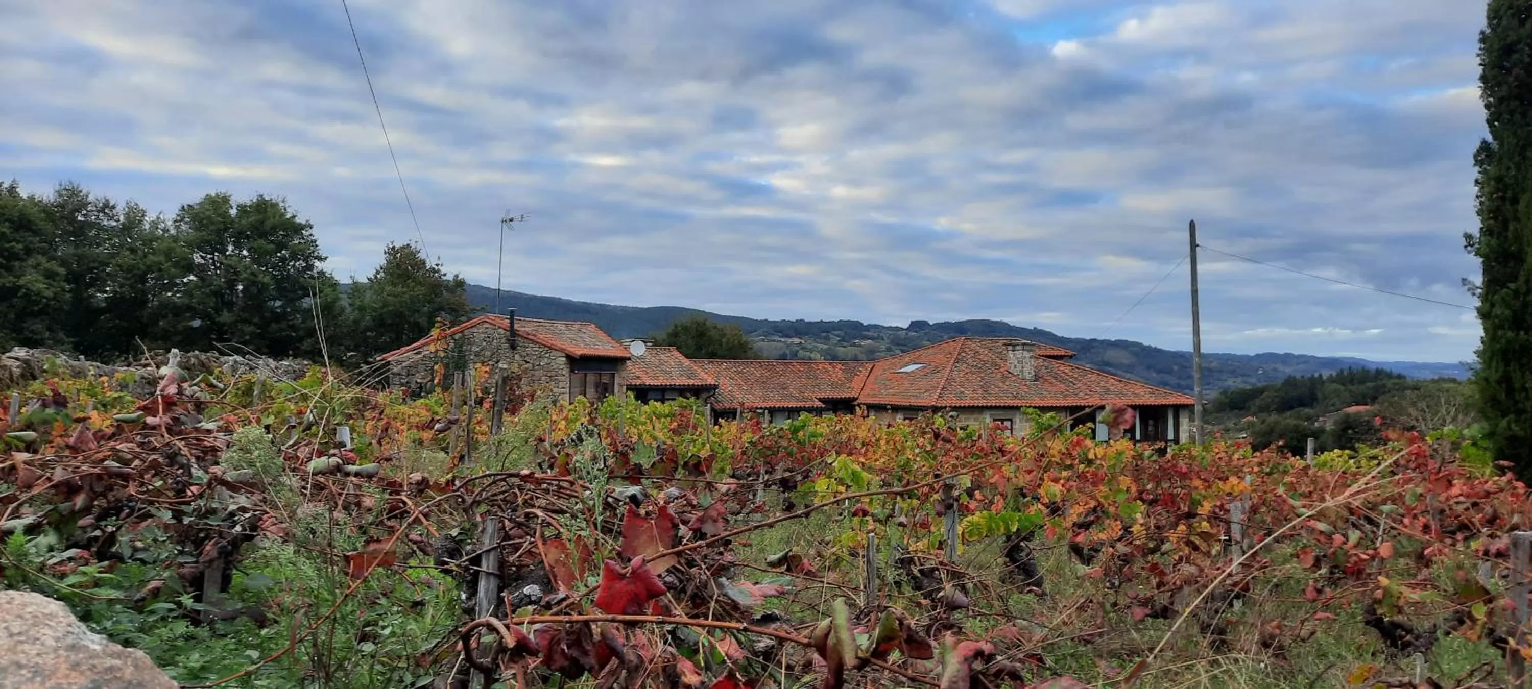 Property building in Rectoral de Anllo