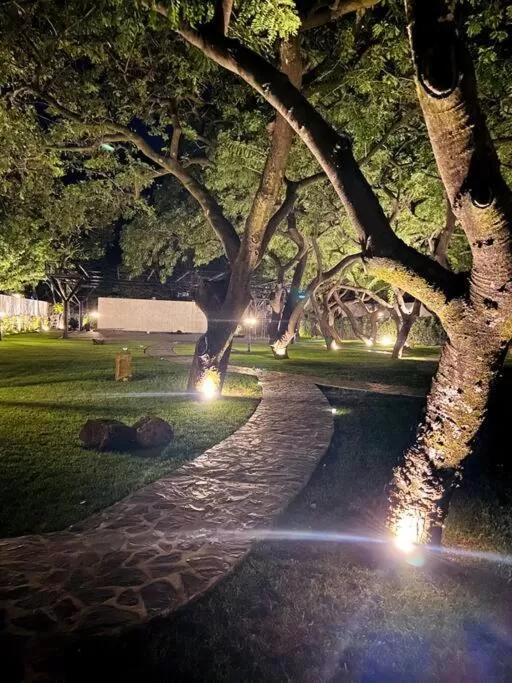 Night in Tatala Hotel & Garden