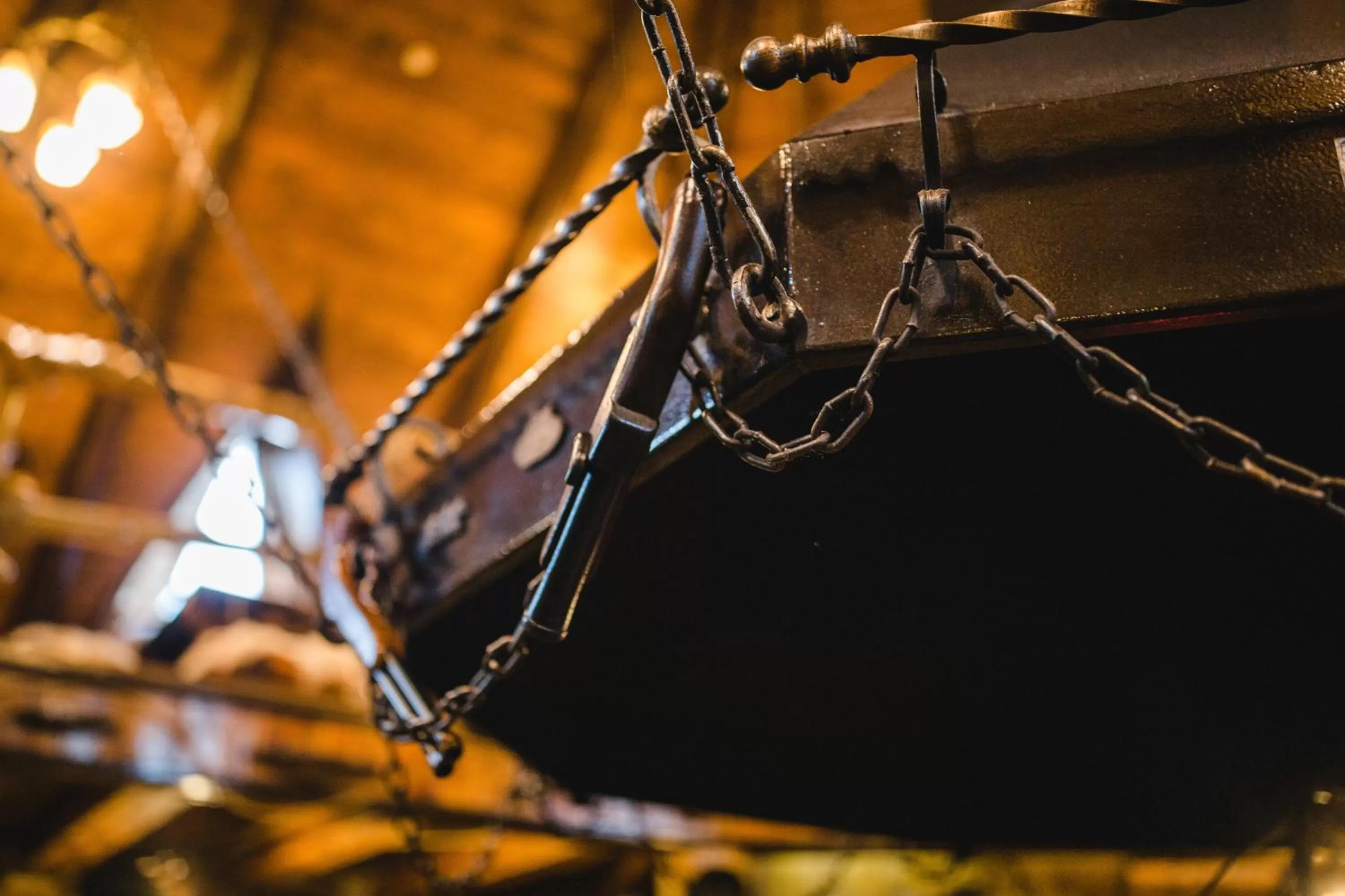 Other Animals in Kolyba Opryshkiv