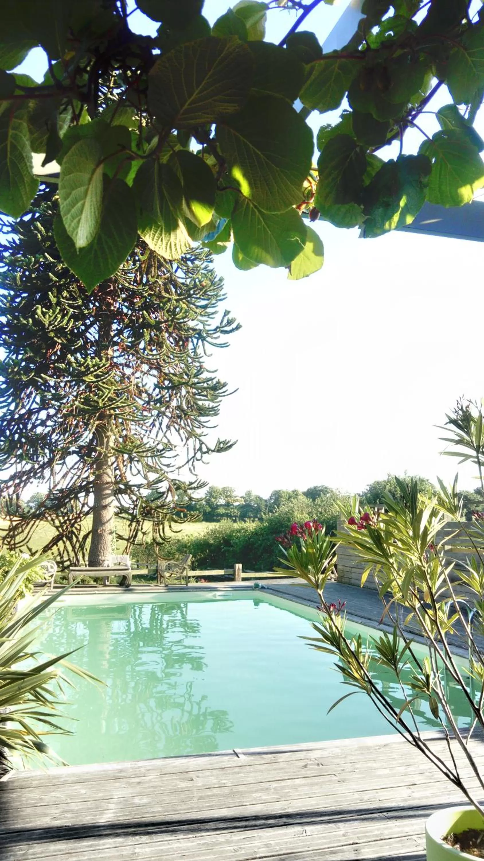 Swimming Pool in Un dimanche à la campagne