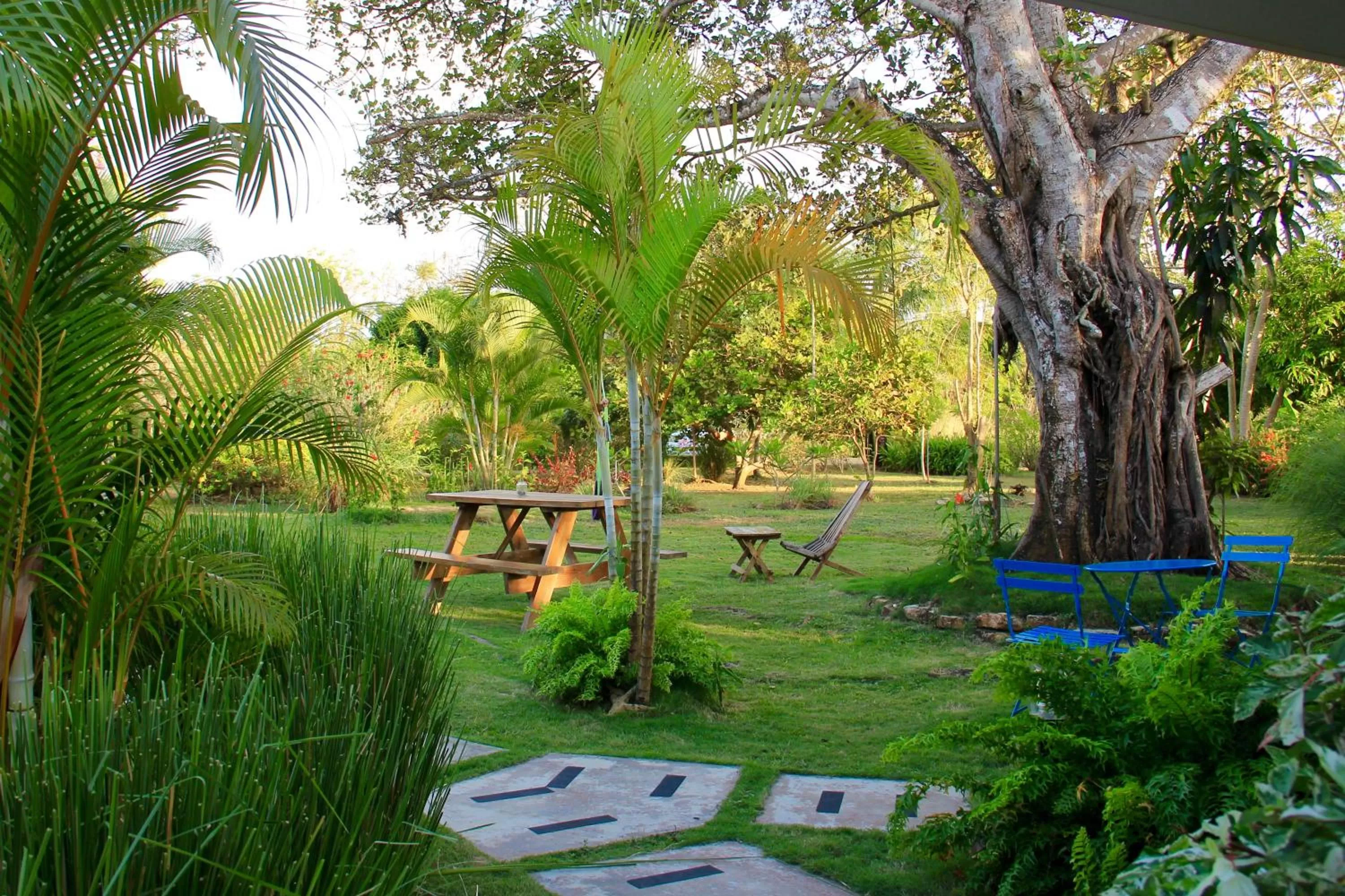 Garden in Cabañas La Casa de Pucha