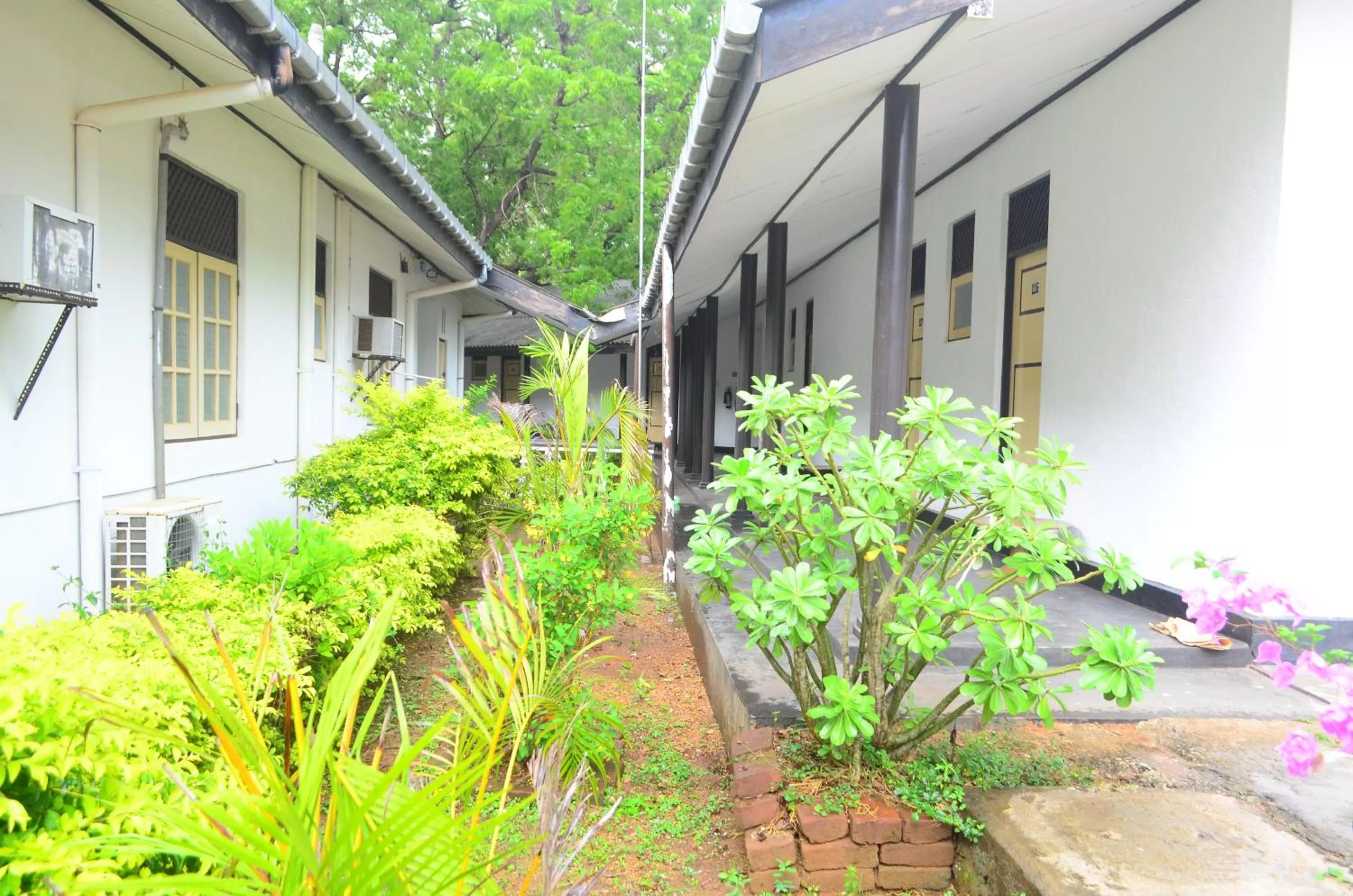 Property building in Jayasinghe Holiday Resort