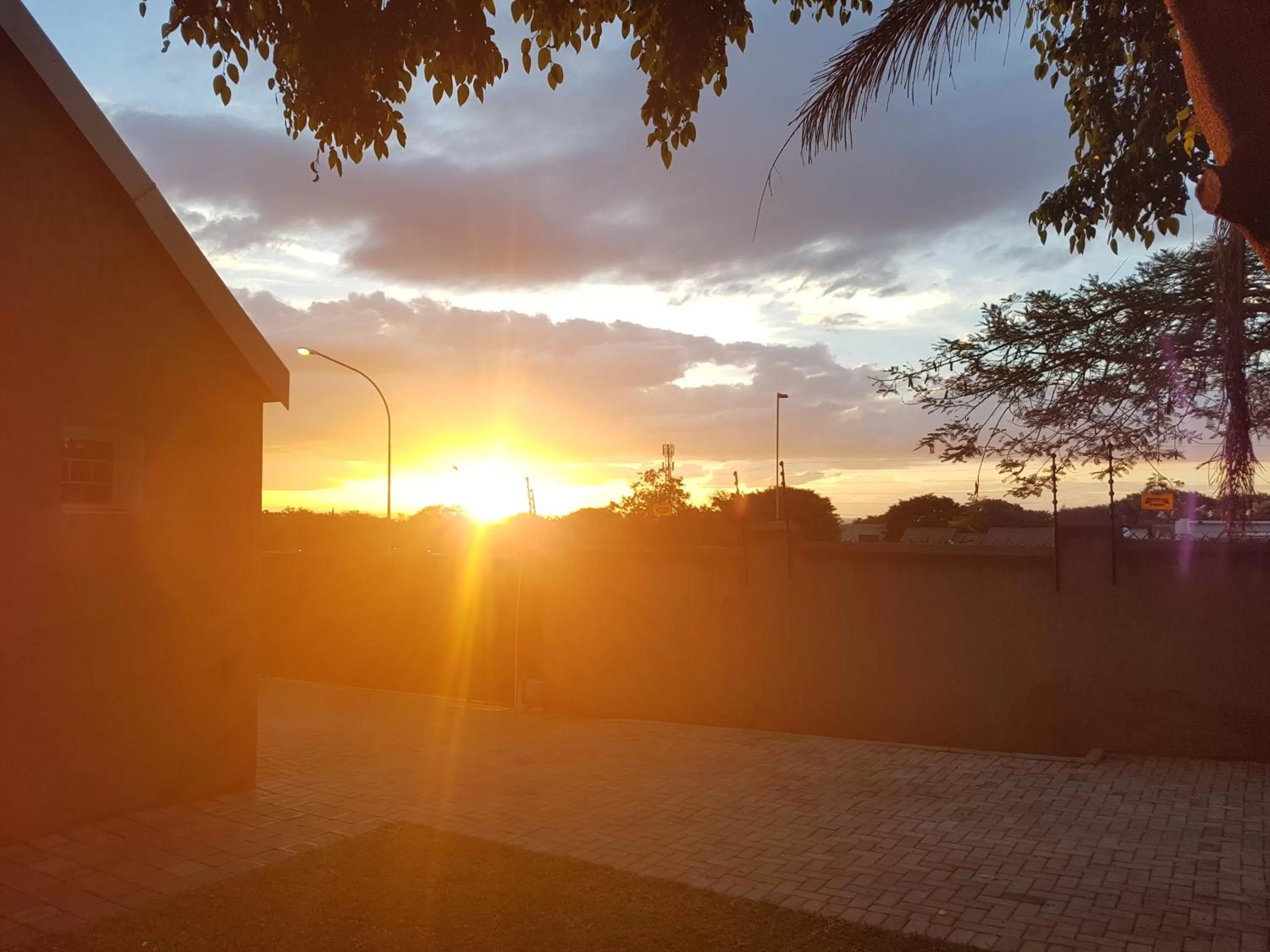 Sunset, Sunrise/Sunset in The Leopard Tree